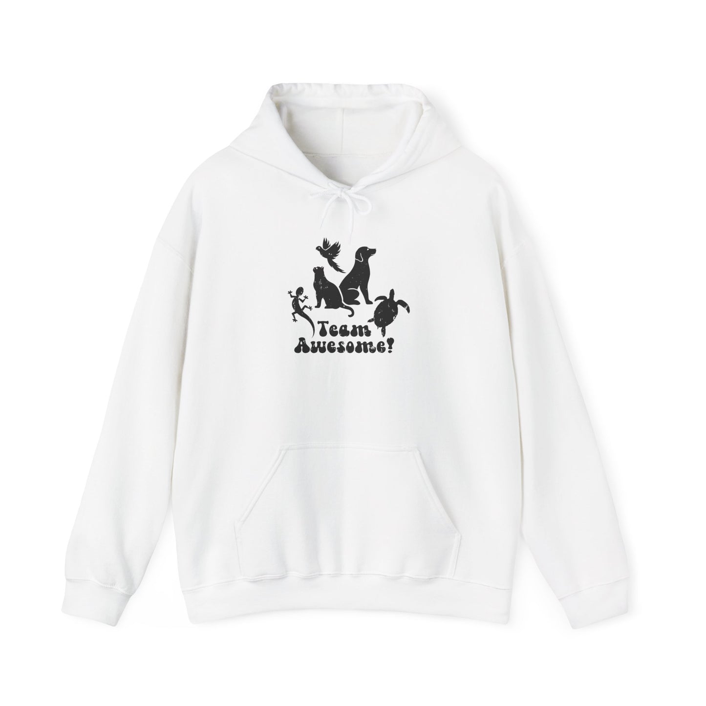 Unisex Animal Lover Lizard Cat Bird Dog Turtle Team Awesome Hooded Sweatshirt