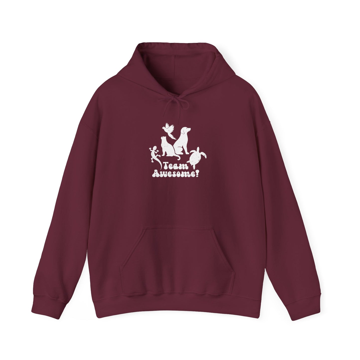Unisex Animal Lover Lizard Cat Bird Dog Turtle Team Awesome Hooded Sweatshirt