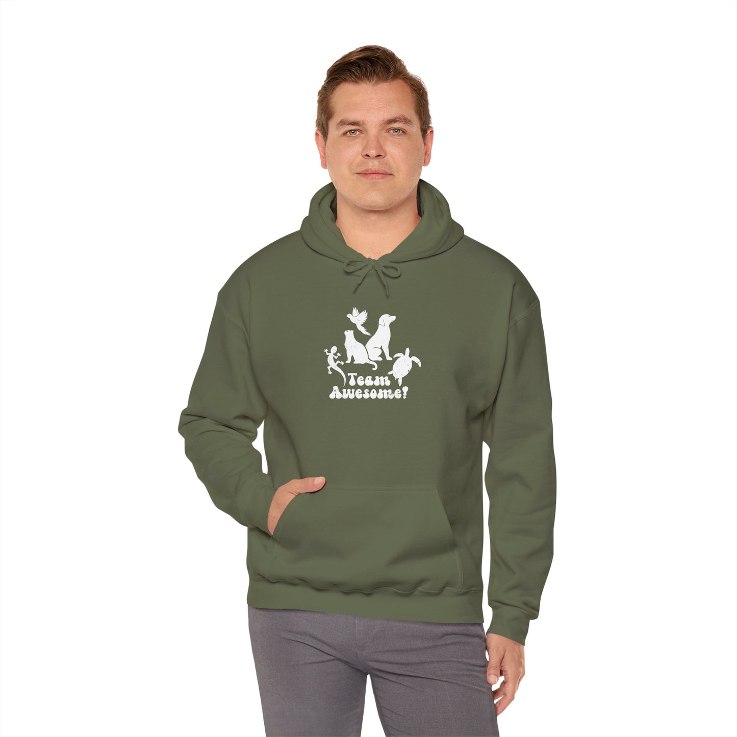 Unisex Animal Lover Lizard Cat Bird Dog Turtle Team Awesome Hooded Sweatshirt
