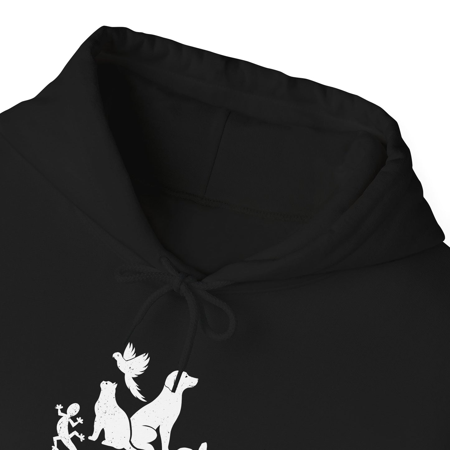 Unisex Animal Lover Lizard Cat Bird Dog Turtle Team Awesome Hooded Sweatshirt
