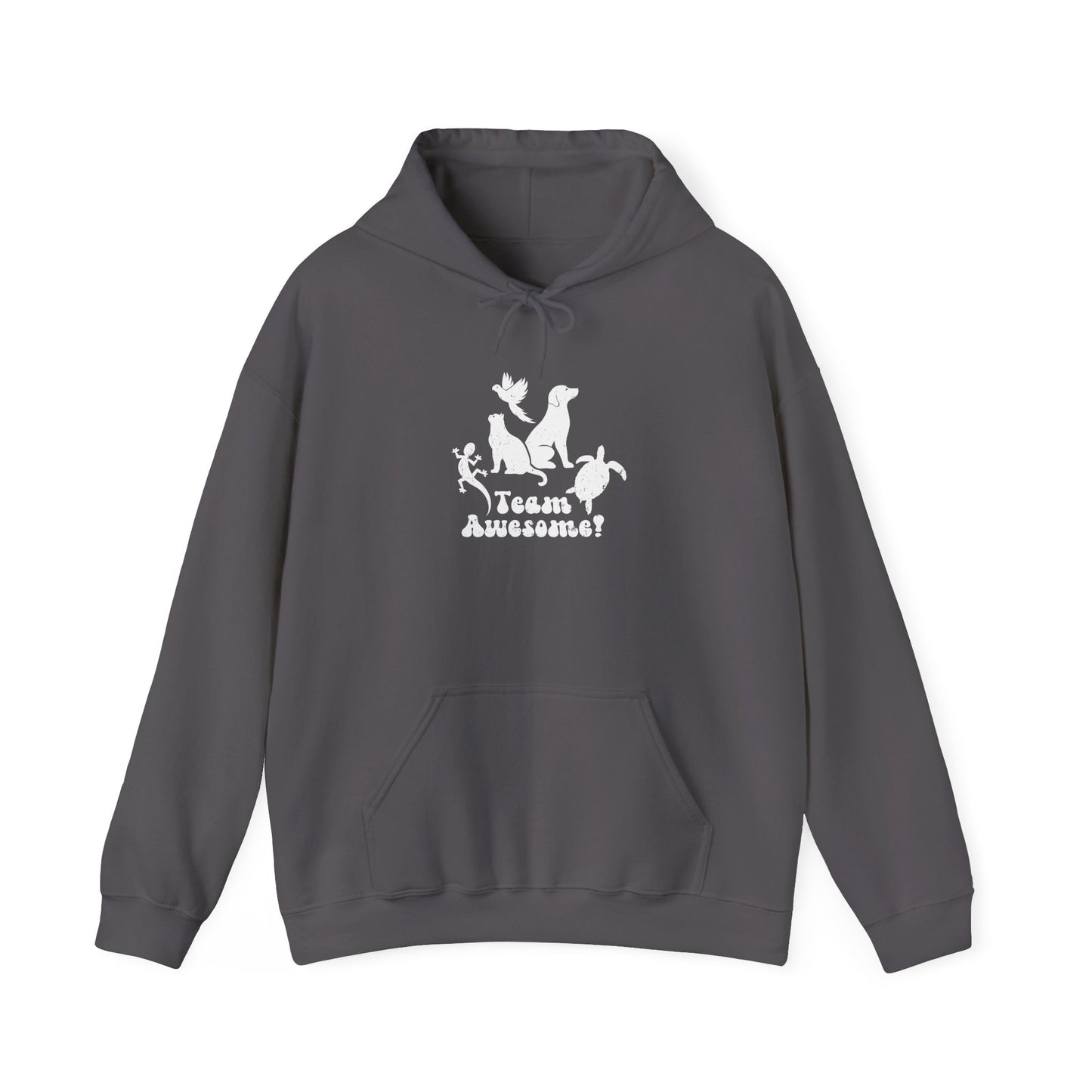 Unisex Animal Lover Lizard Cat Bird Dog Turtle Team Awesome Hooded Sweatshirt