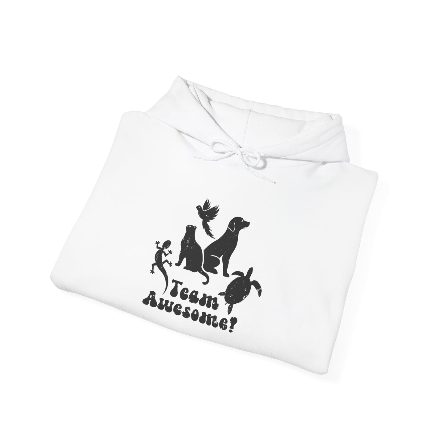Unisex Animal Lover Lizard Cat Bird Dog Turtle Team Awesome Hooded Sweatshirt