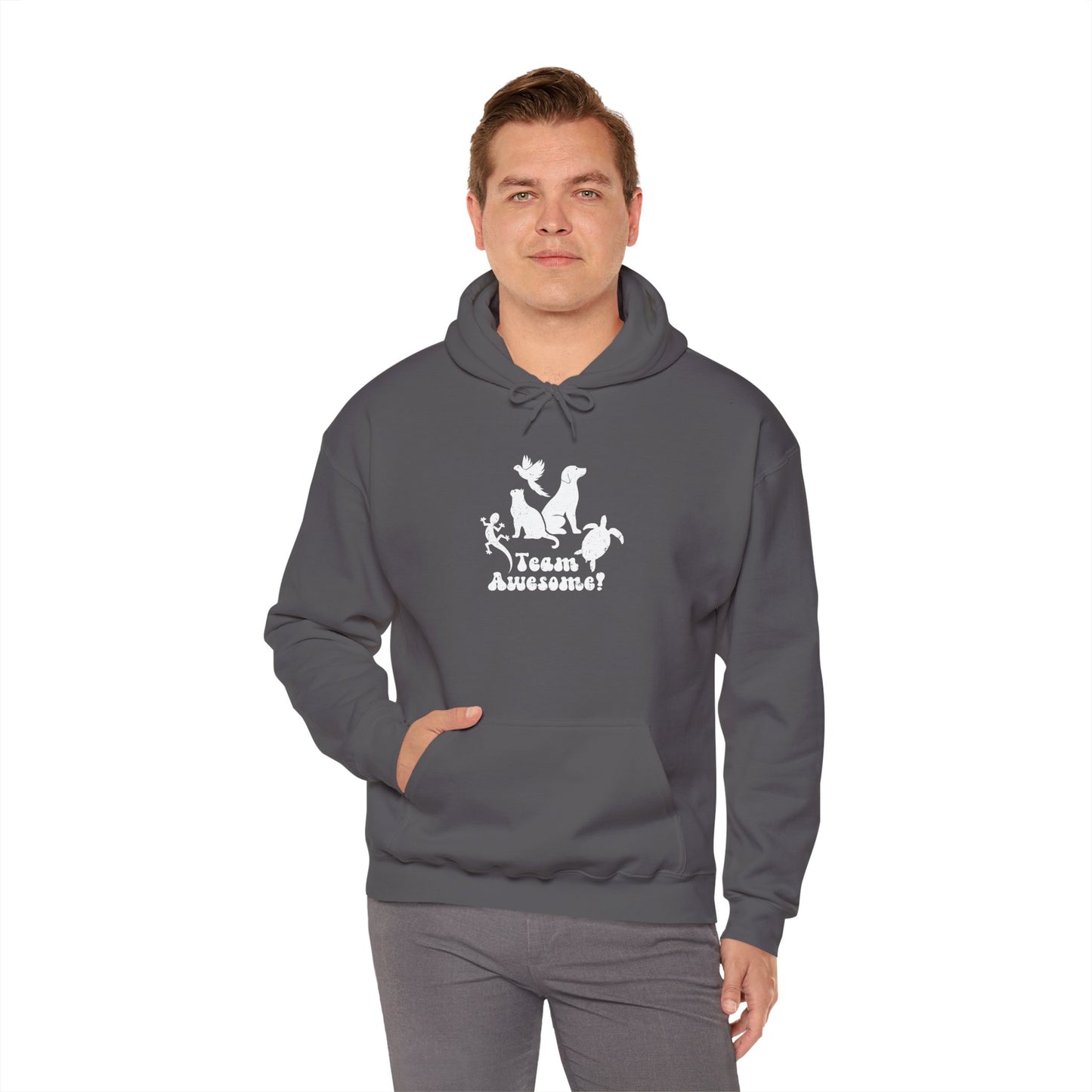 Unisex Animal Lover Lizard Cat Bird Dog Turtle Team Awesome Hooded Sweatshirt