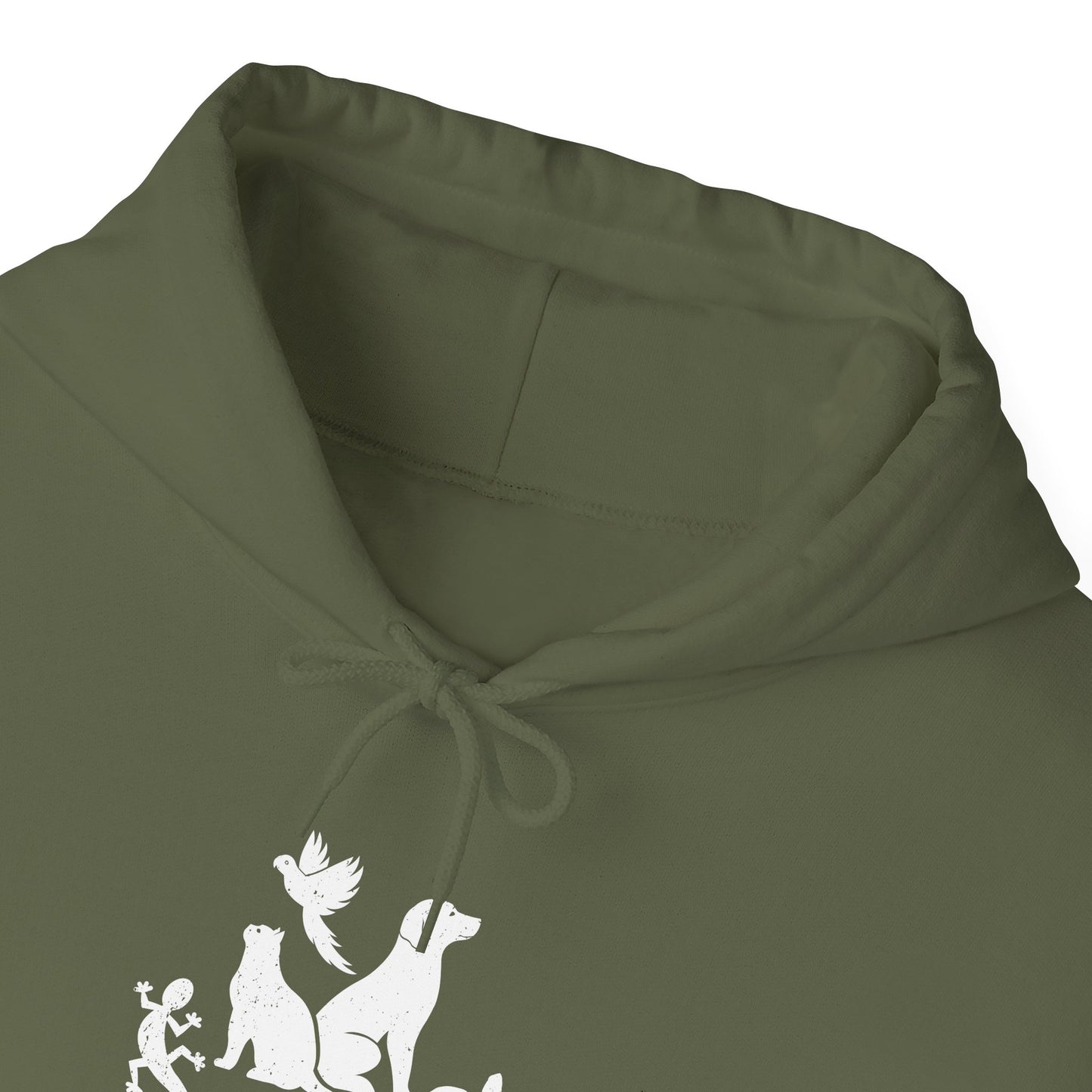 Unisex Animal Lover Lizard Cat Bird Dog Turtle Team Awesome Hooded Sweatshirt