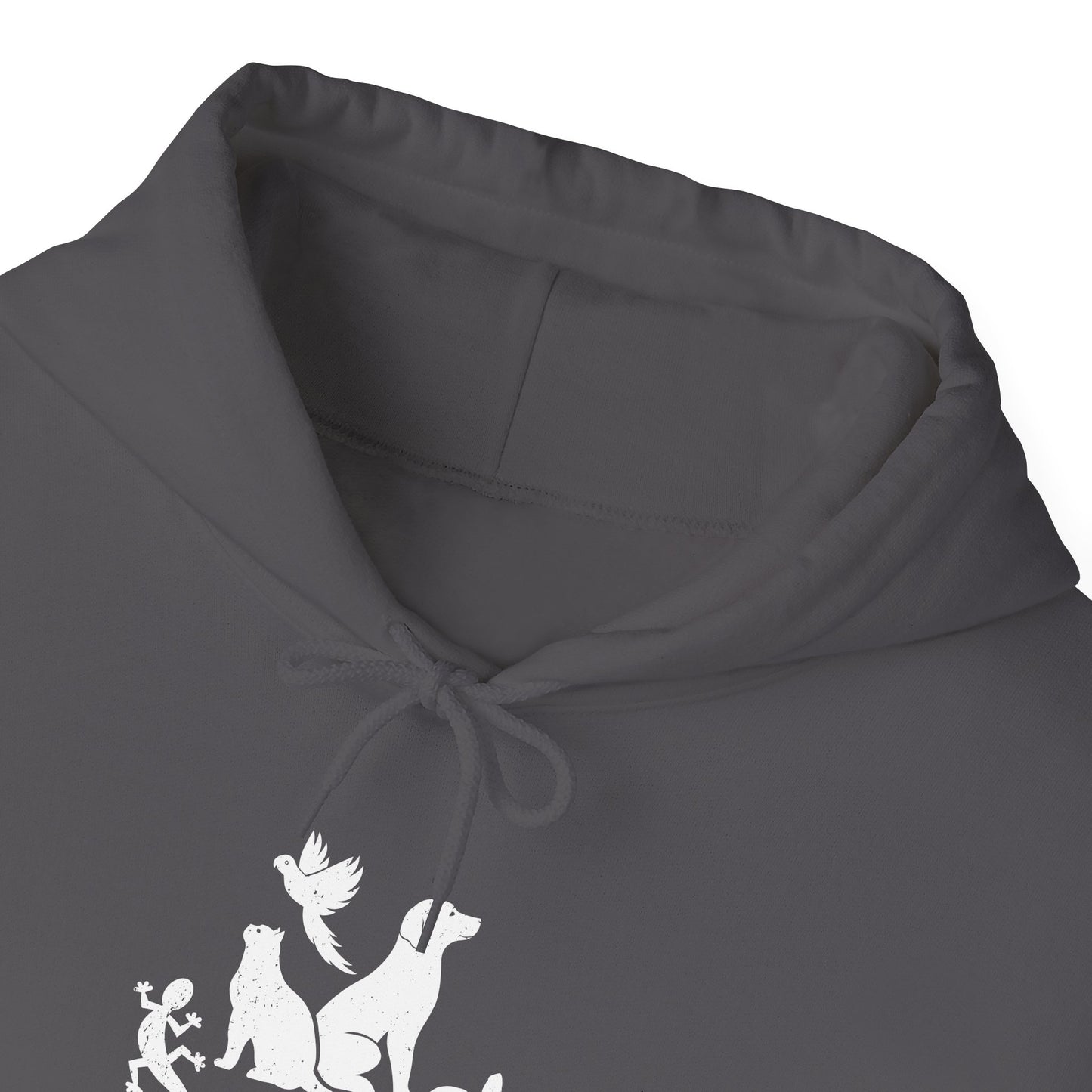 Unisex Animal Lover Lizard Cat Bird Dog Turtle Team Awesome Hooded Sweatshirt