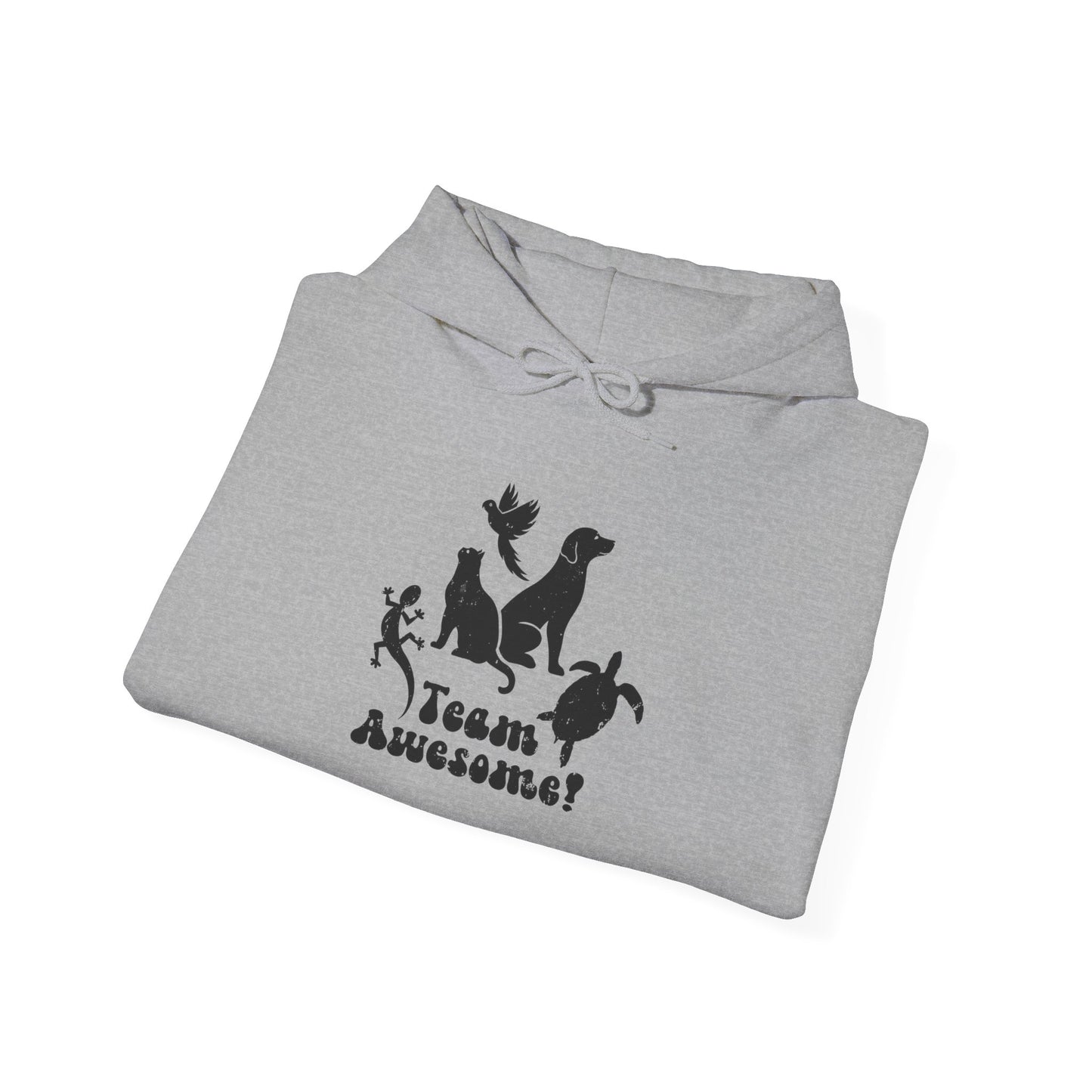 Unisex Animal Lover Lizard Cat Bird Dog Turtle Team Awesome Hooded Sweatshirt