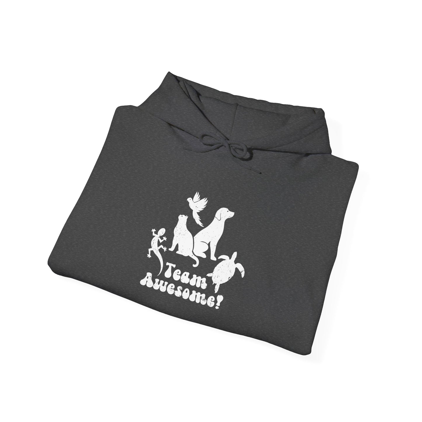 Unisex Animal Lover Lizard Cat Bird Dog Turtle Team Awesome Hooded Sweatshirt