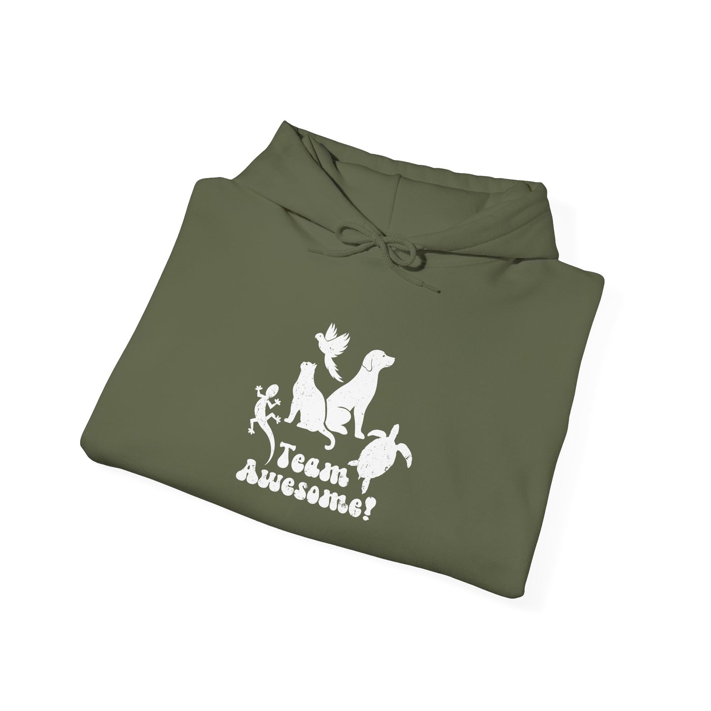 Unisex Animal Lover Lizard Cat Bird Dog Turtle Team Awesome Hooded Sweatshirt