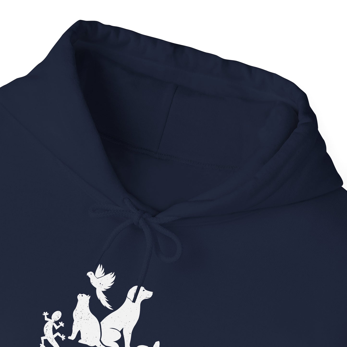 Unisex Animal Lover Lizard Cat Bird Dog Turtle Team Awesome Hooded Sweatshirt