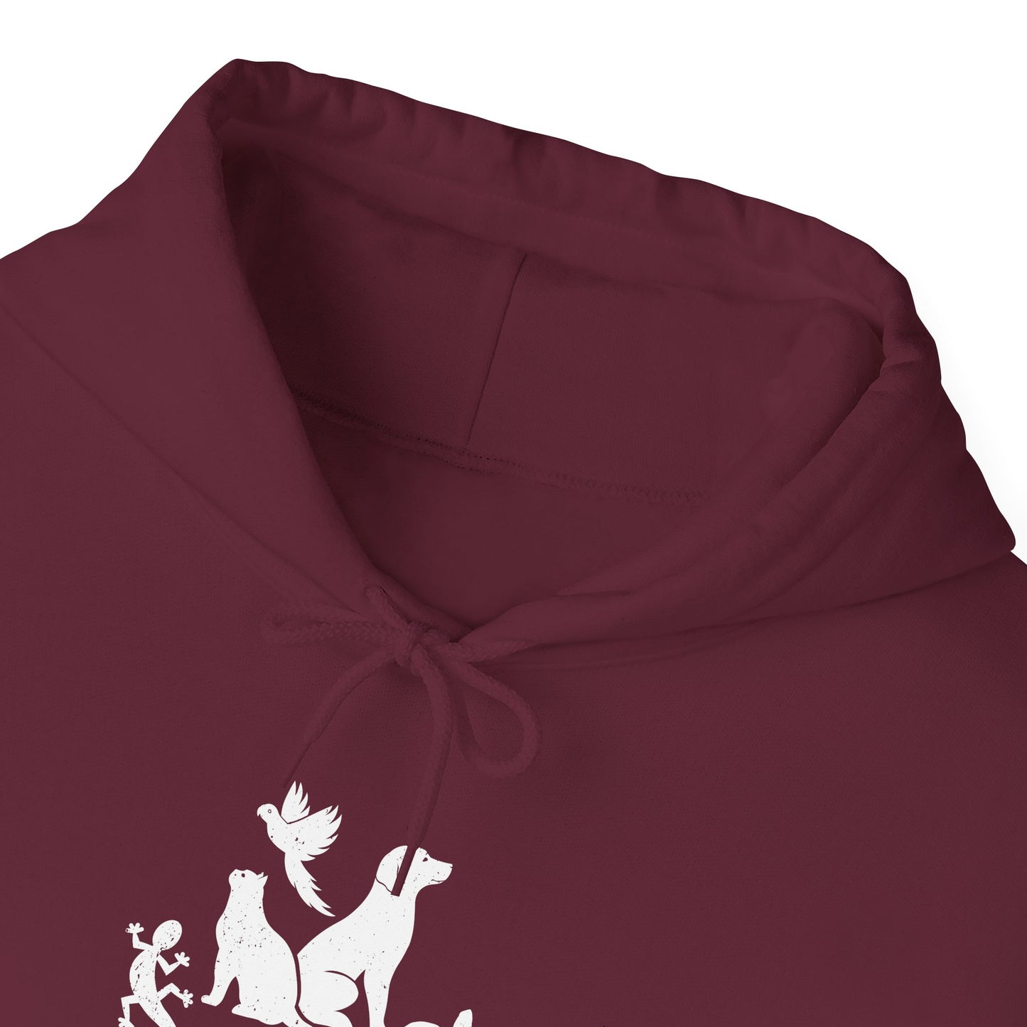Unisex Animal Lover Lizard Cat Bird Dog Turtle Team Awesome Hooded Sweatshirt