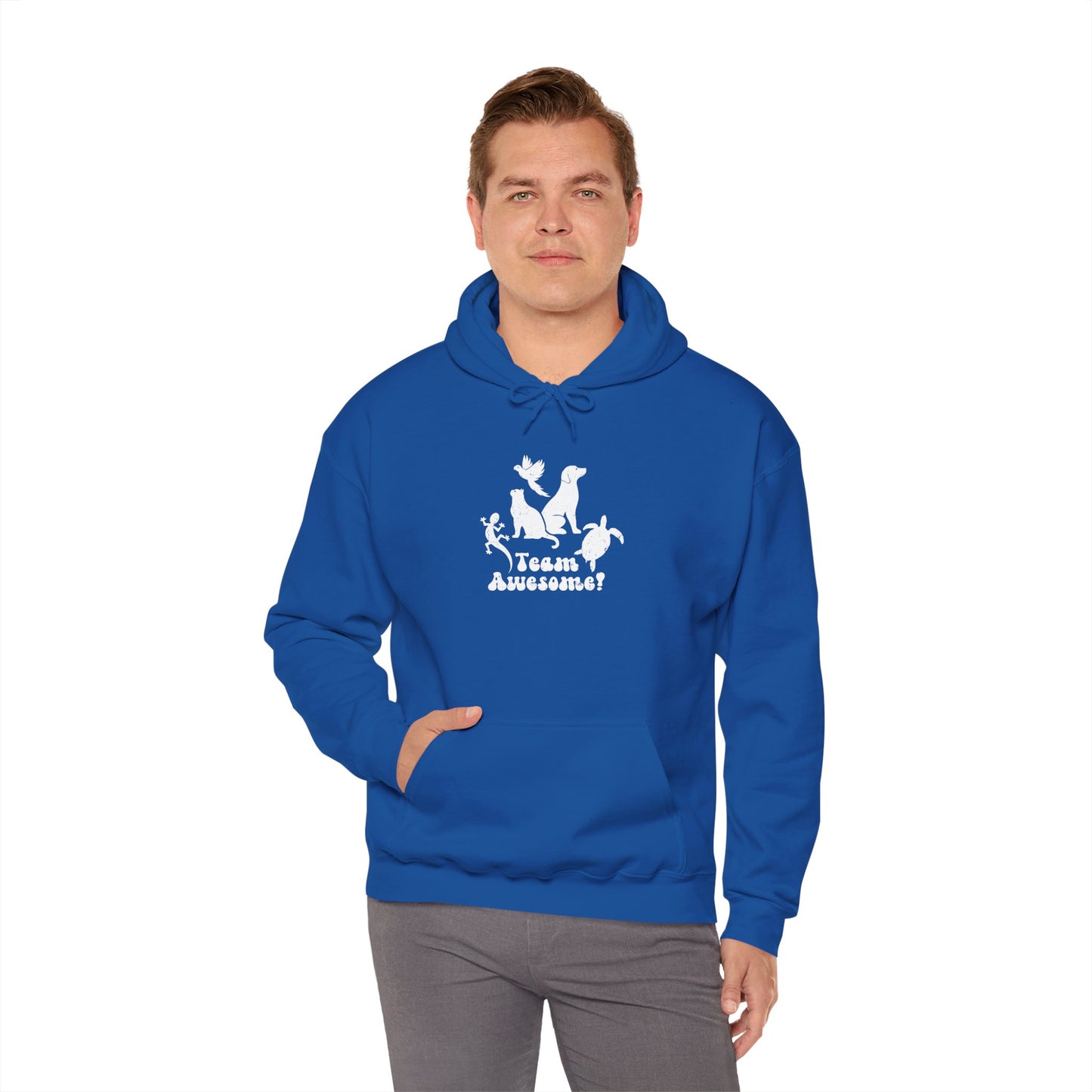 Unisex Animal Lover Lizard Cat Bird Dog Turtle Team Awesome Hooded Sweatshirt