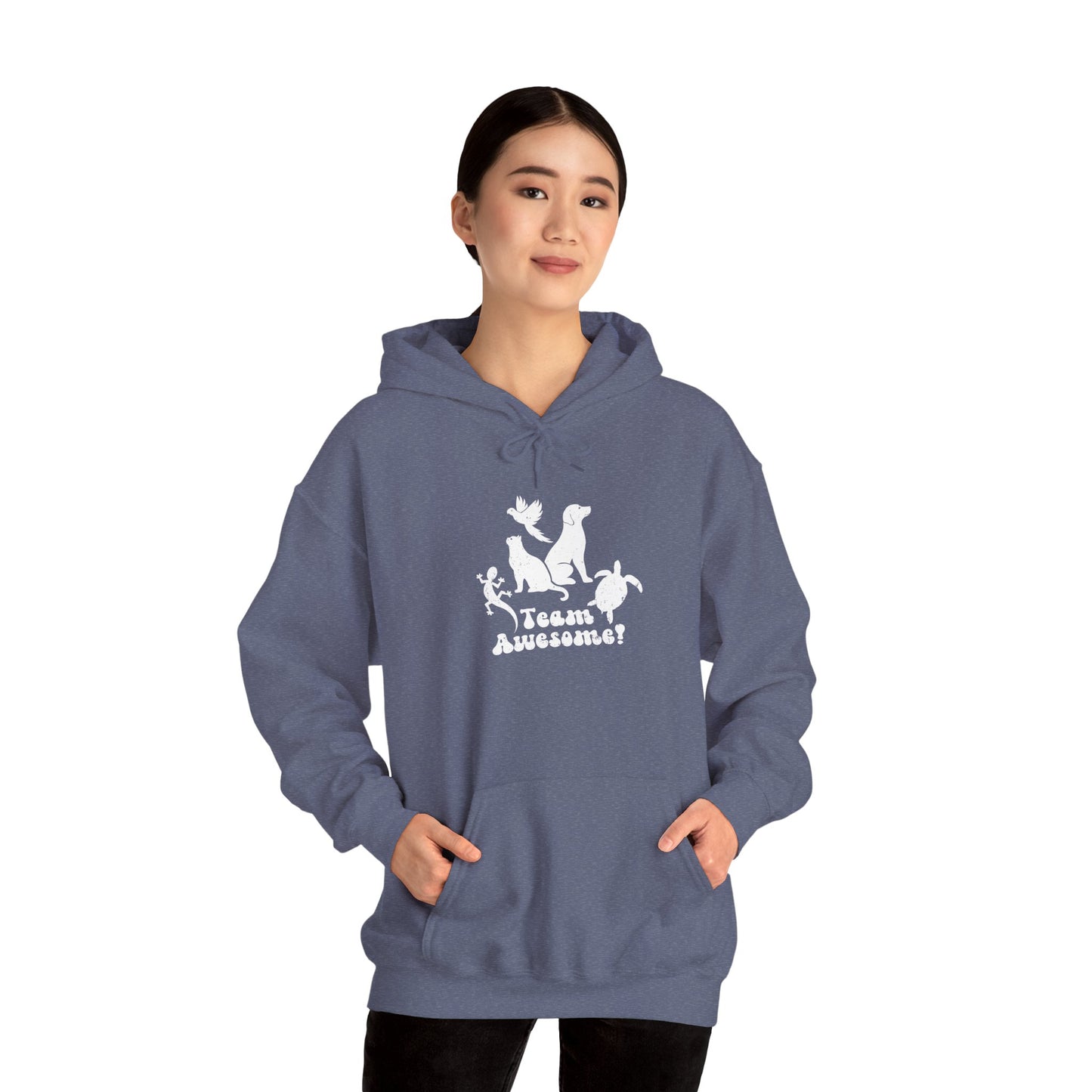 Unisex Animal Lover Lizard Cat Bird Dog Turtle Team Awesome Hooded Sweatshirt