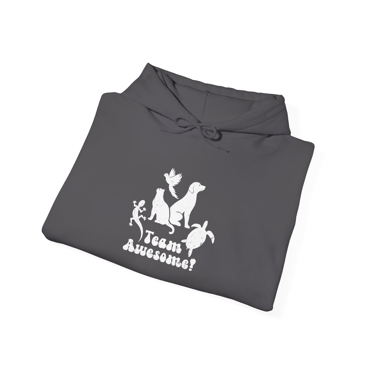 Unisex Animal Lover Lizard Cat Bird Dog Turtle Team Awesome Hooded Sweatshirt