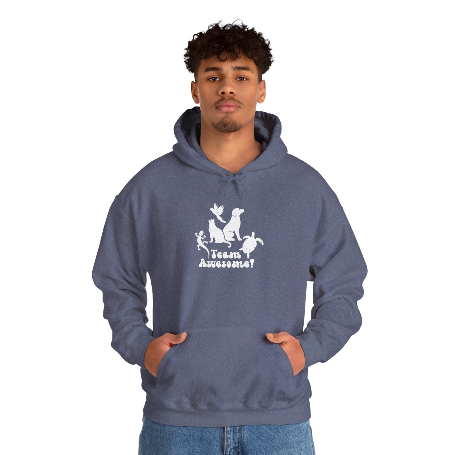 Unisex Animal Lover Lizard Cat Bird Dog Turtle Team Awesome Hooded Sweatshirt