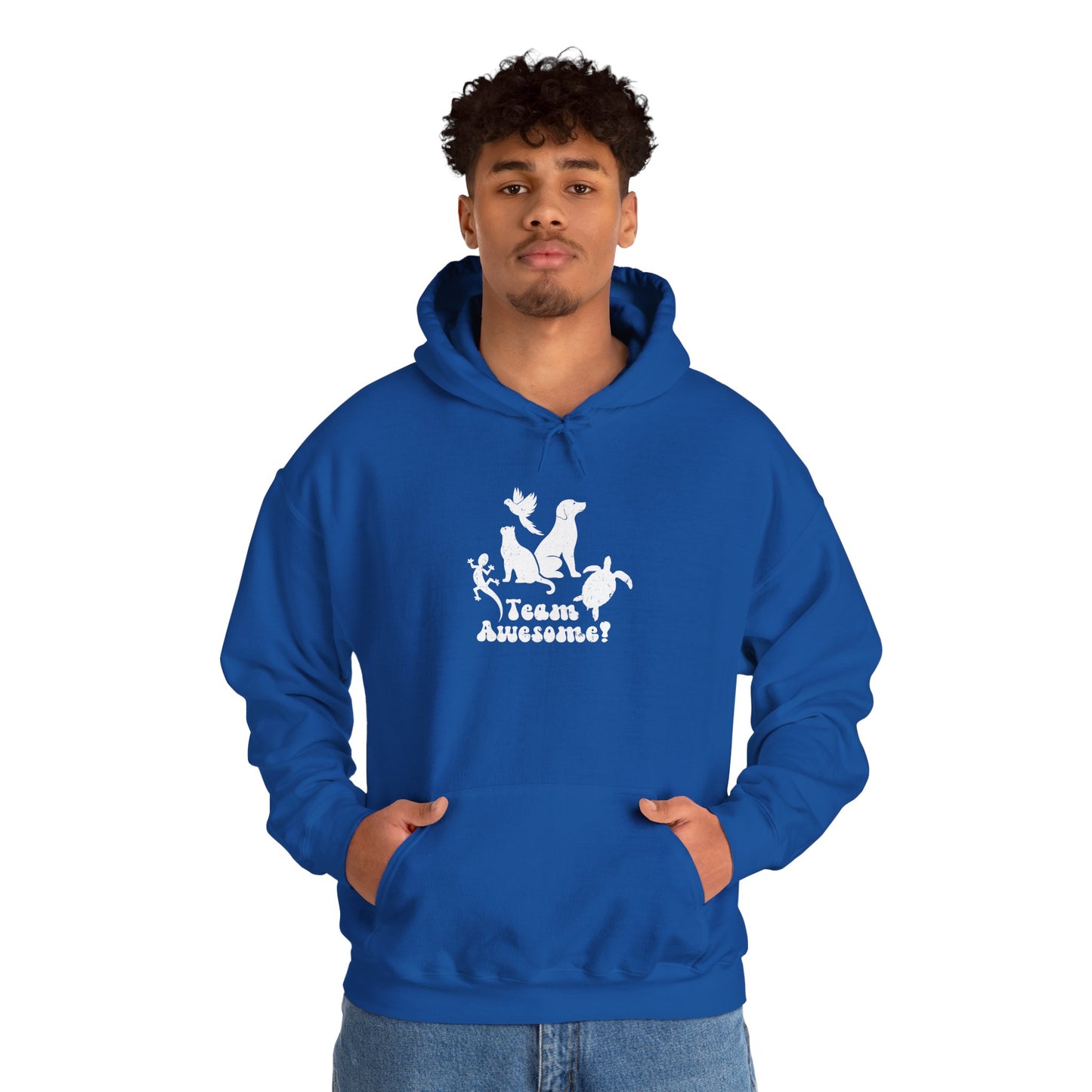 Unisex Animal Lover Lizard Cat Bird Dog Turtle Team Awesome Hooded Sweatshirt