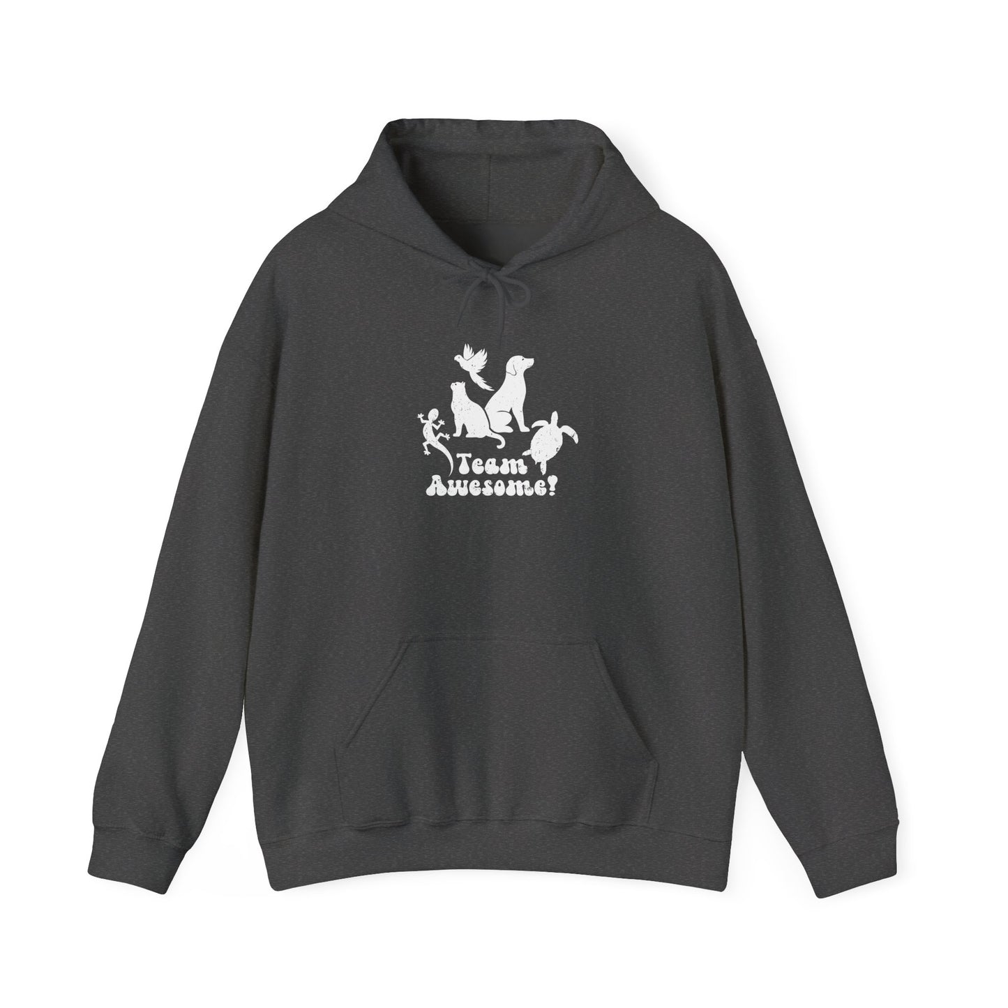 Unisex Animal Lover Lizard Cat Bird Dog Turtle Team Awesome Hooded Sweatshirt