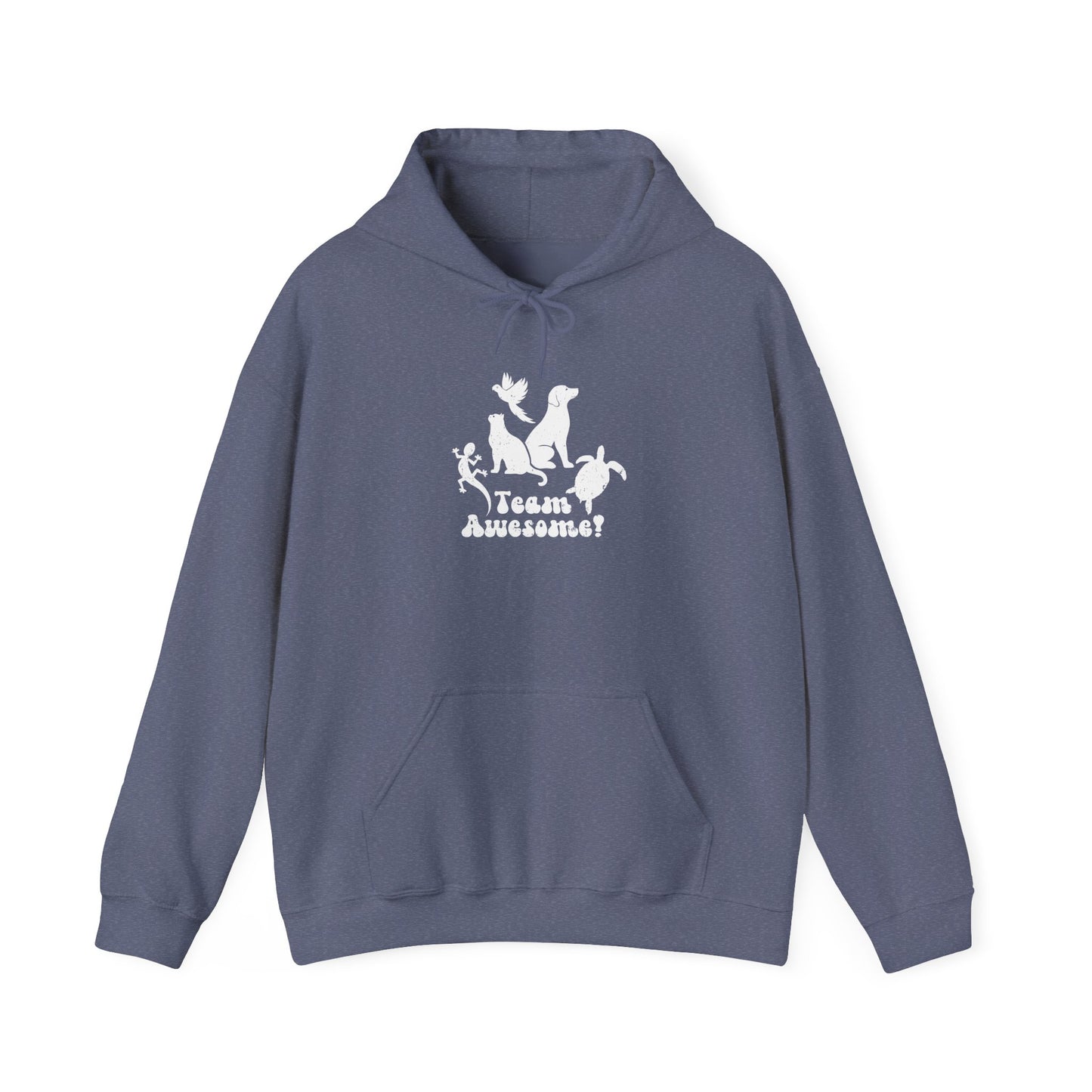 Unisex Animal Lover Lizard Cat Bird Dog Turtle Team Awesome Hooded Sweatshirt