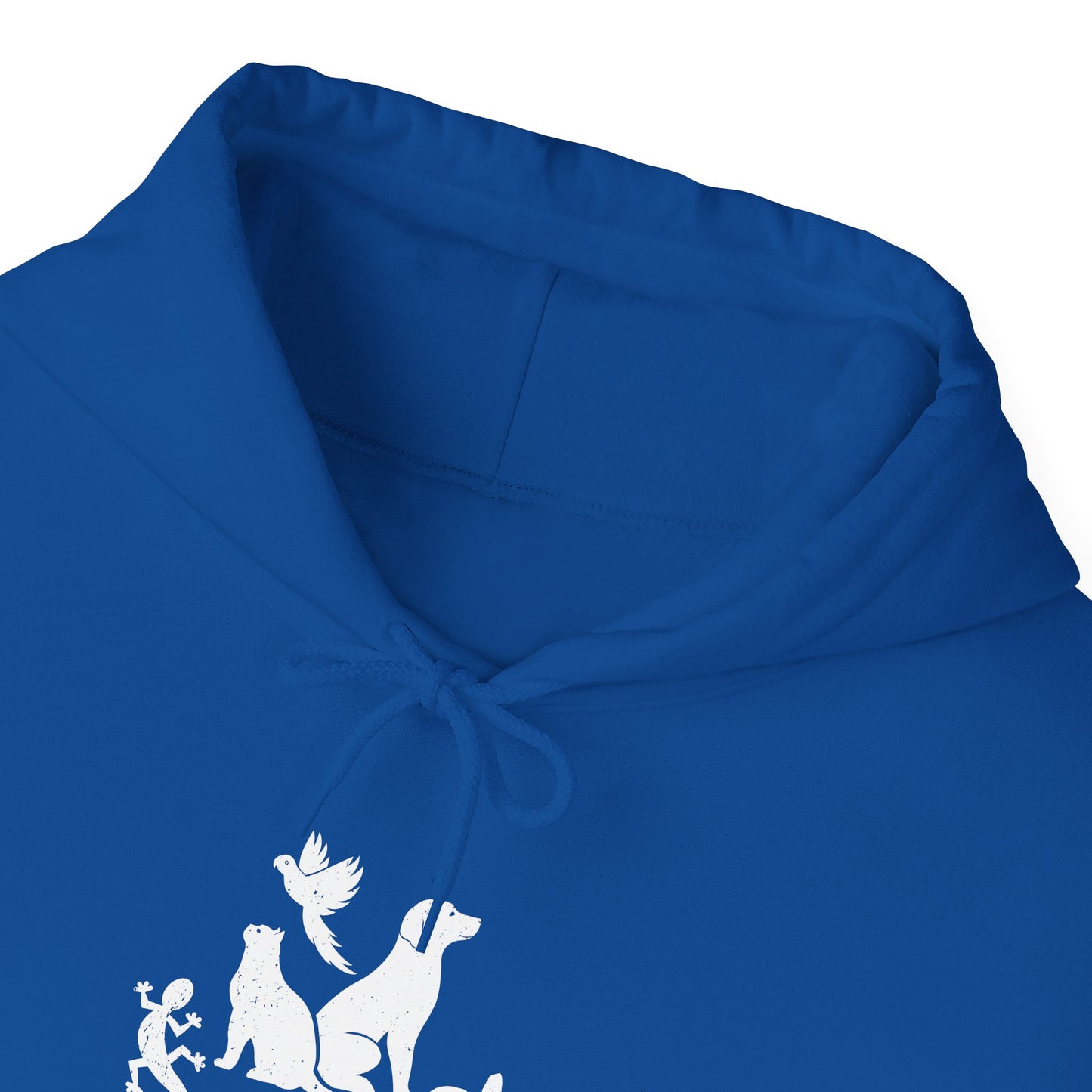 Unisex Animal Lover Lizard Cat Bird Dog Turtle Team Awesome Hooded Sweatshirt