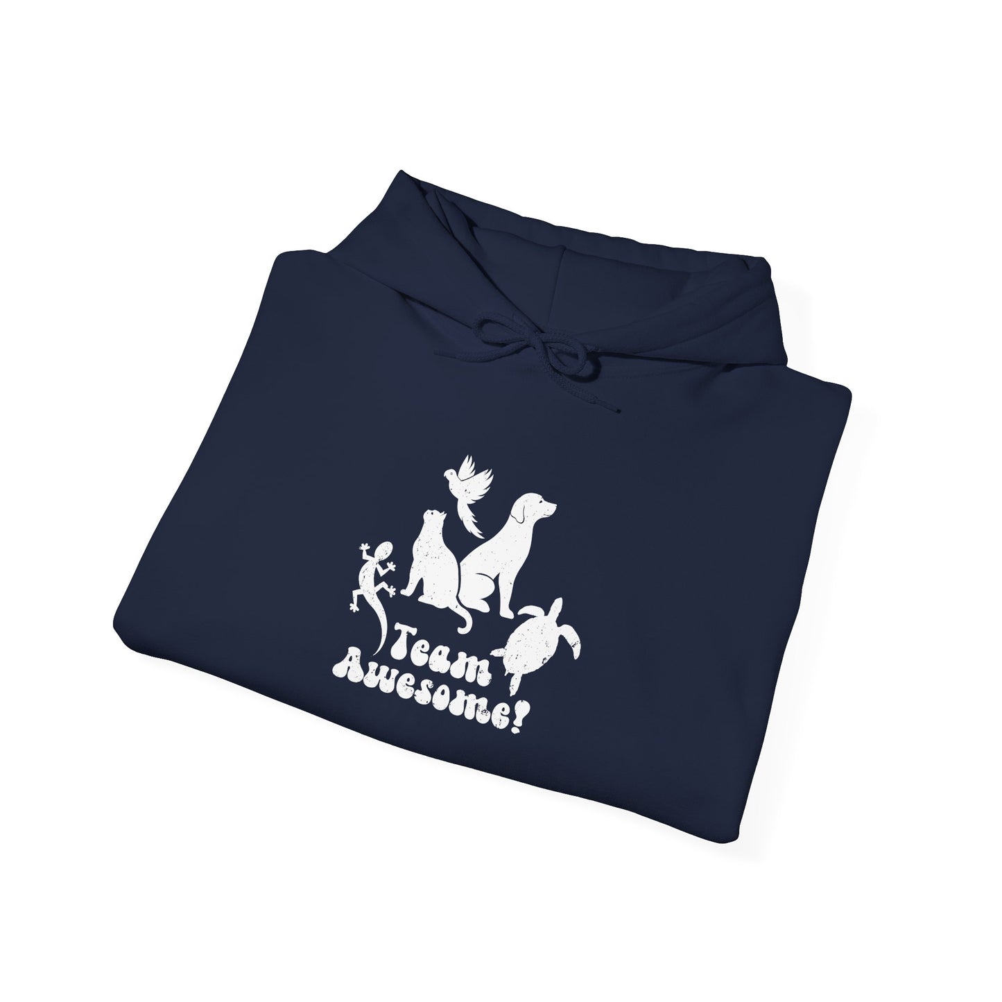 Unisex Animal Lover Lizard Cat Bird Dog Turtle Team Awesome Hooded Sweatshirt