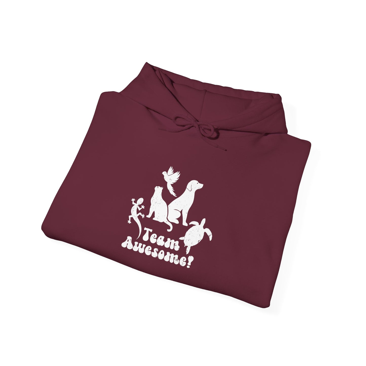 Unisex Animal Lover Lizard Cat Bird Dog Turtle Team Awesome Hooded Sweatshirt