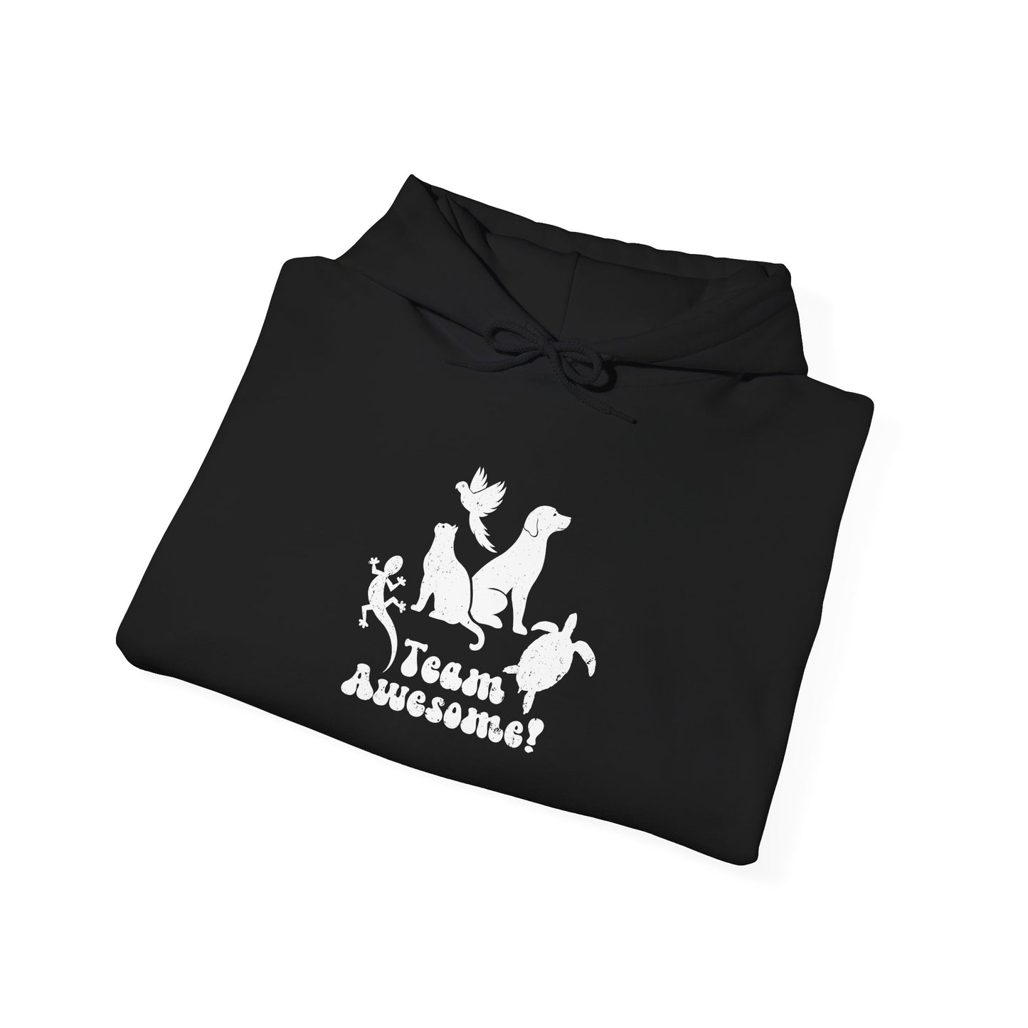 Unisex Animal Lover Lizard Cat Bird Dog Turtle Team Awesome Hooded Sweatshirt