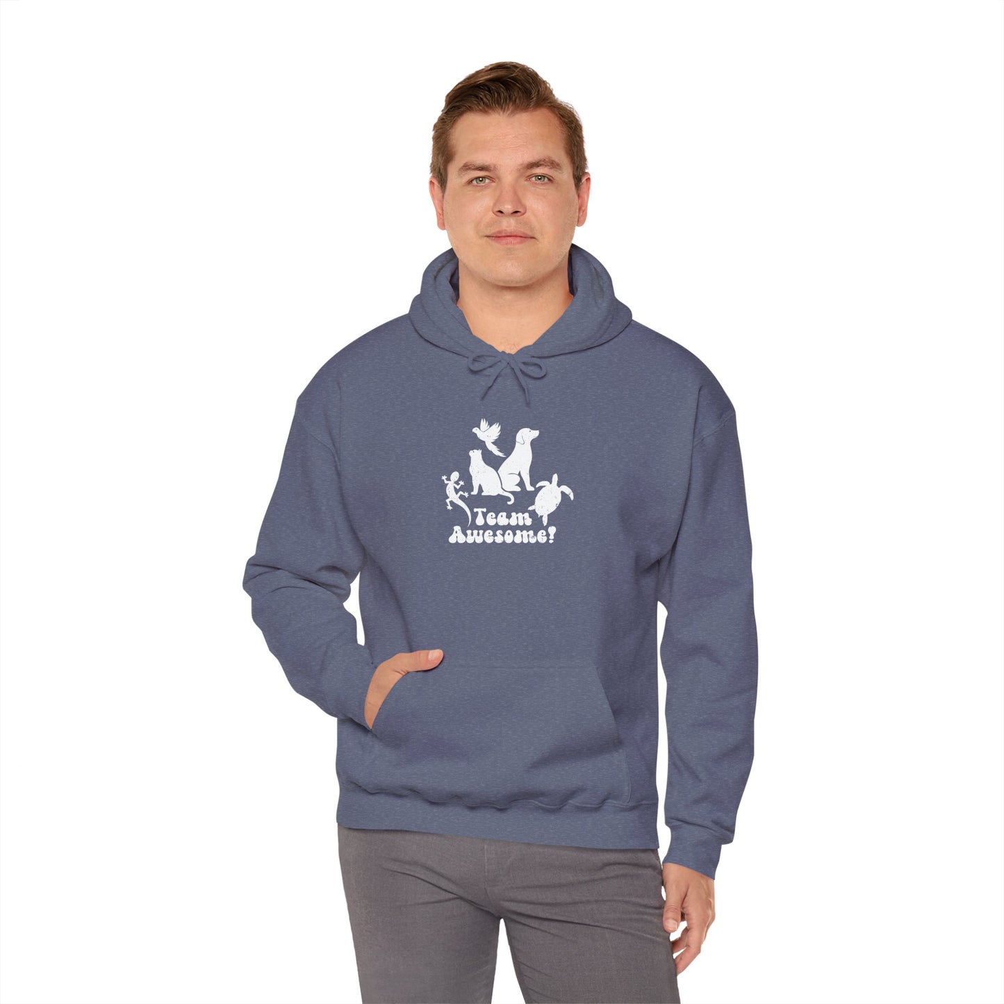 Unisex Animal Lover Lizard Cat Bird Dog Turtle Team Awesome Hooded Sweatshirt