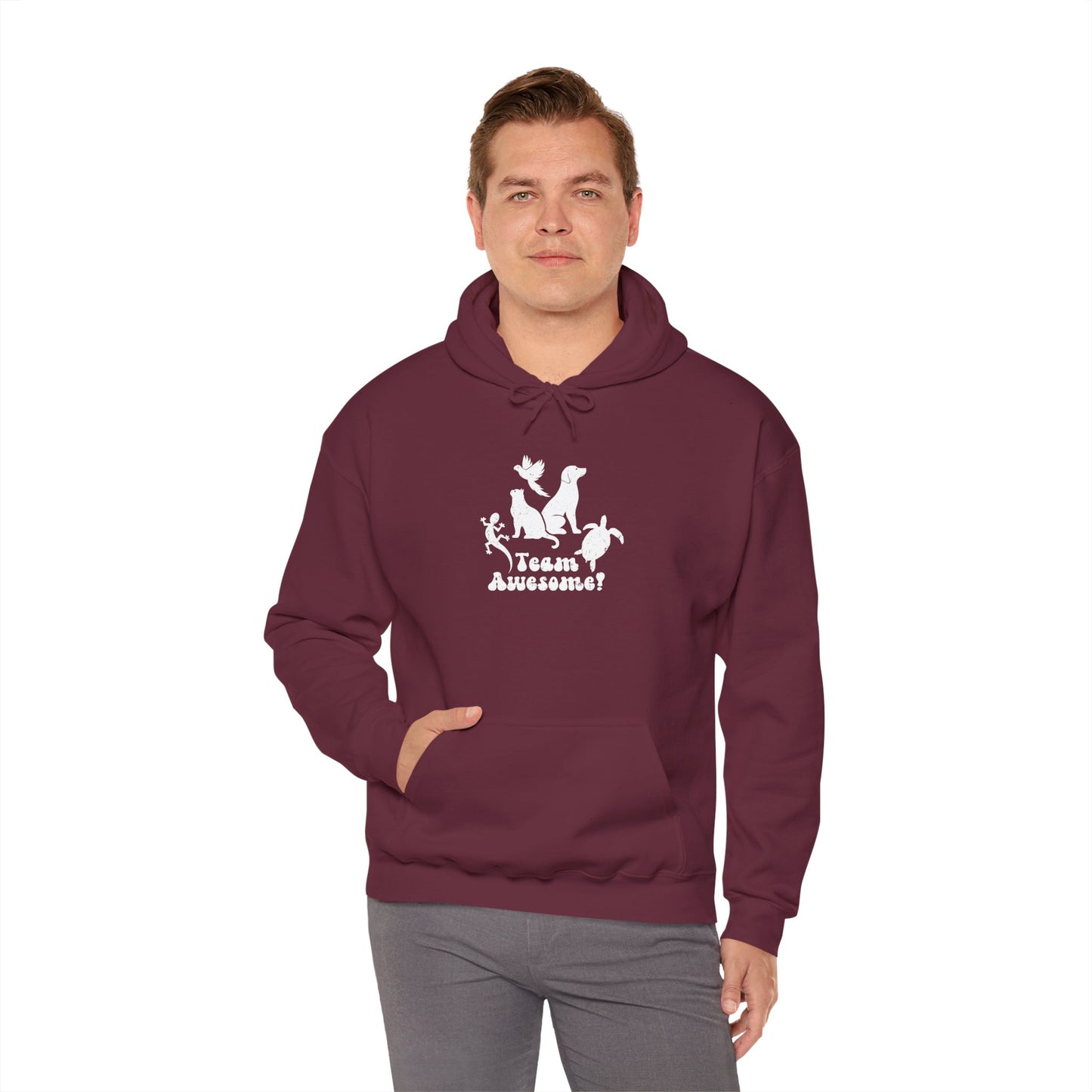 Unisex Animal Lover Lizard Cat Bird Dog Turtle Team Awesome Hooded Sweatshirt