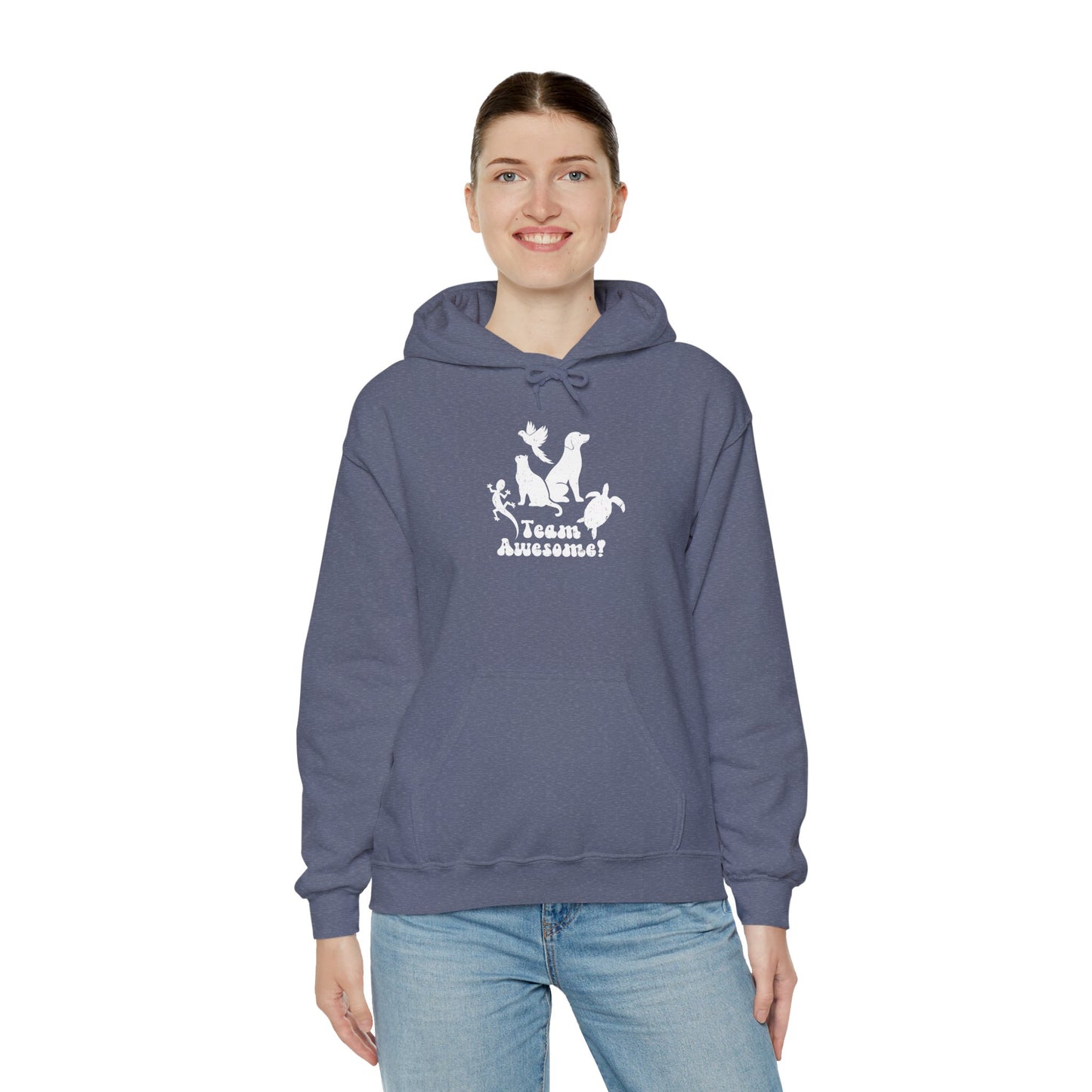Unisex Animal Lover Lizard Cat Bird Dog Turtle Team Awesome Hooded Sweatshirt