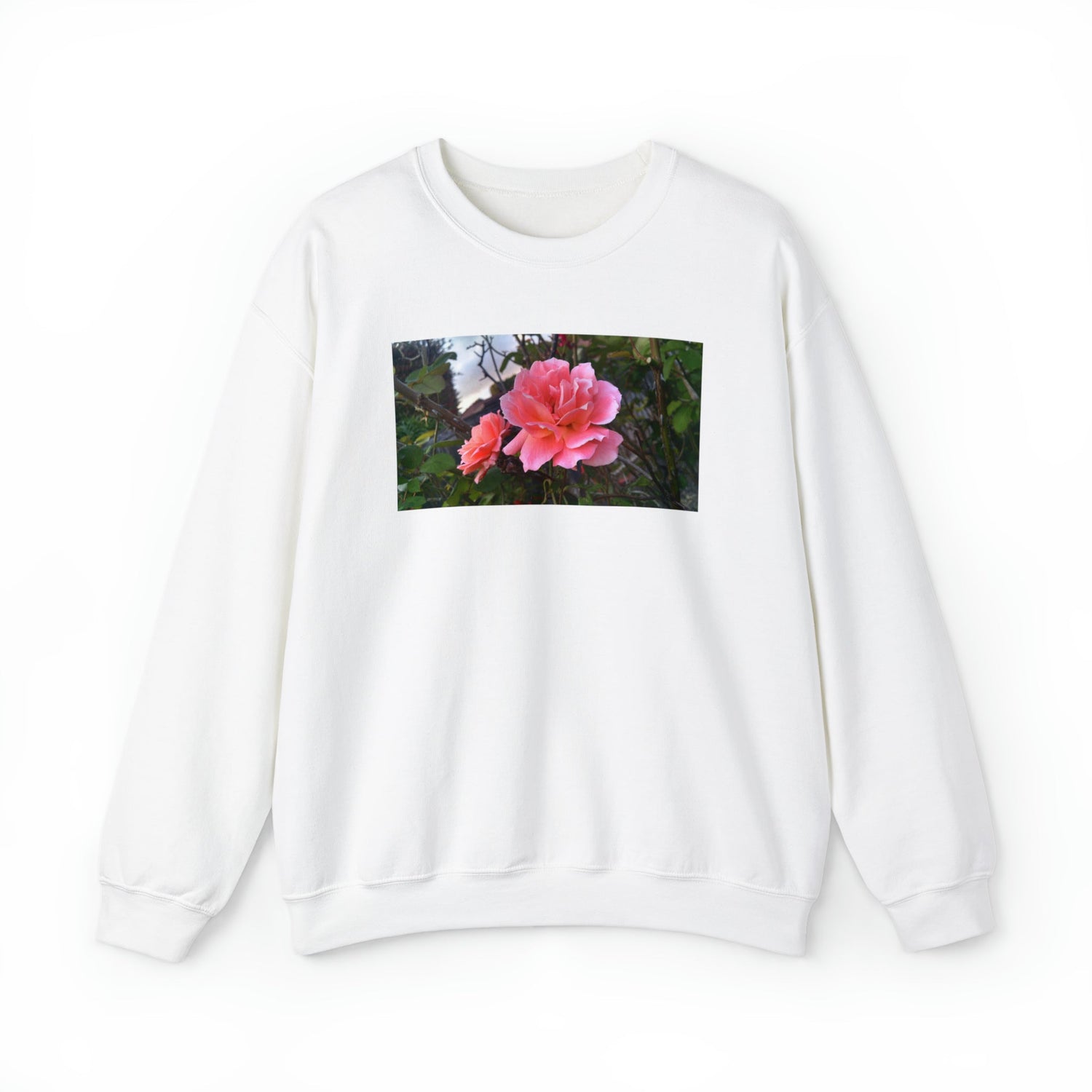 Sweatshirts