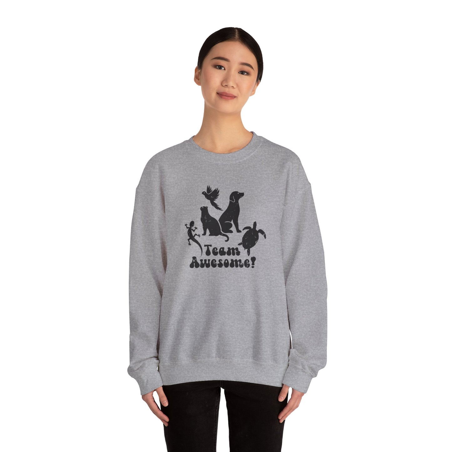 Unisex Animal Lover Lizard Cat Bird Dog Turtle Team Awesome Sweatshirt