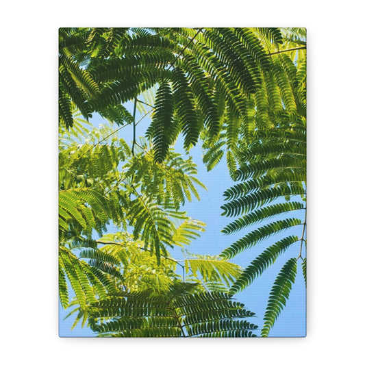 Canvas Gallery Wrap - Silk Canopy #3