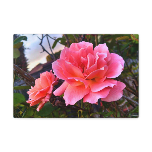 Canvas Gallery Wrap - Double Delight Rose