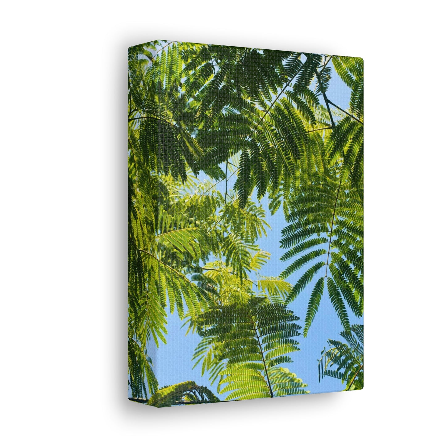 Canvas Gallery Wrap - Silk Canopy #3