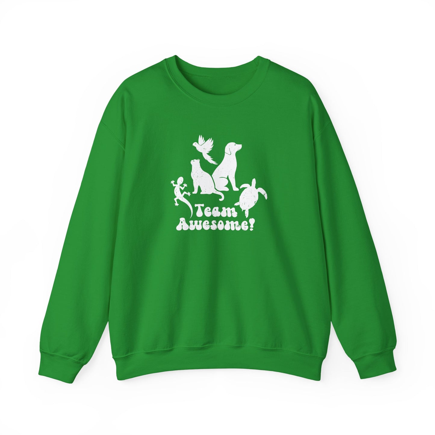 Unisex Animal Lover Lizard Cat Bird Dog Turtle Team Awesome Sweatshirt