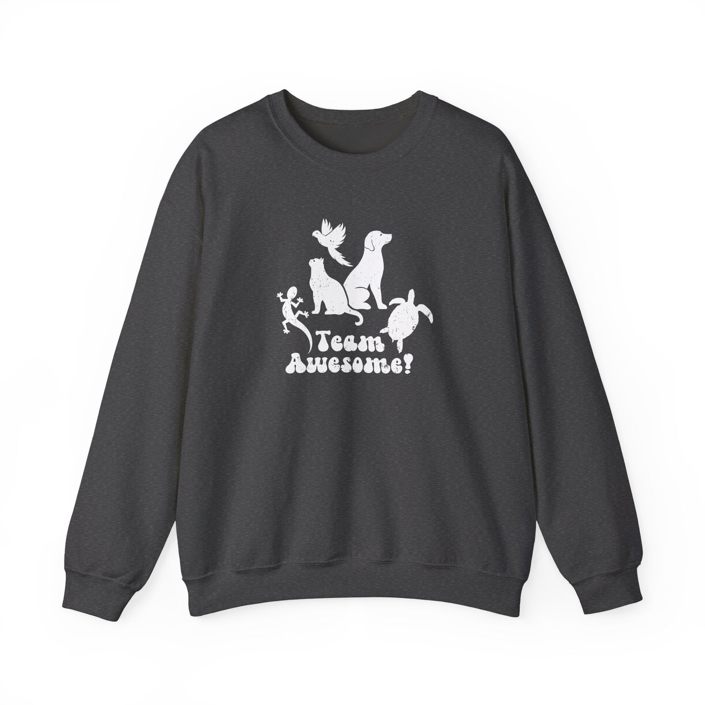 Unisex Animal Lover Lizard Cat Bird Dog Turtle Team Awesome Sweatshirt