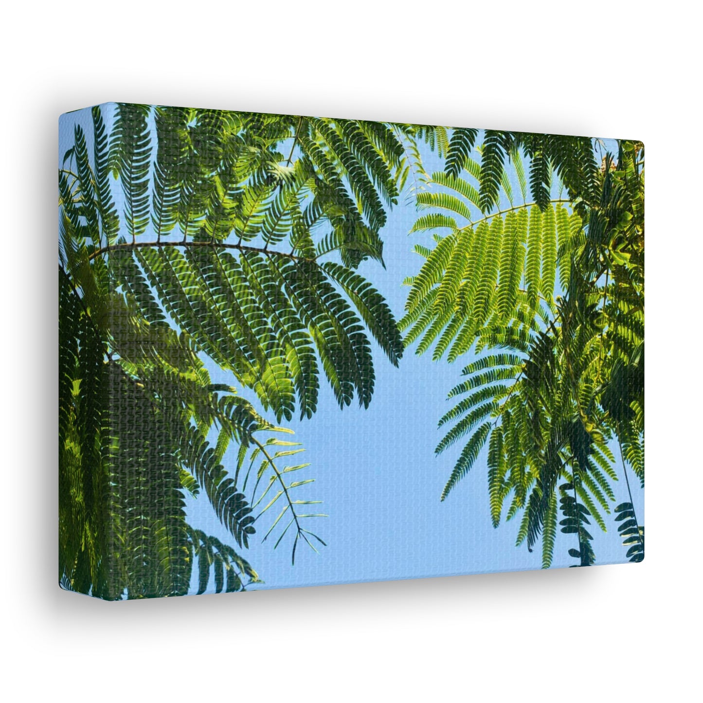 Canvas Gallery Wrap - Silk Canopy #2