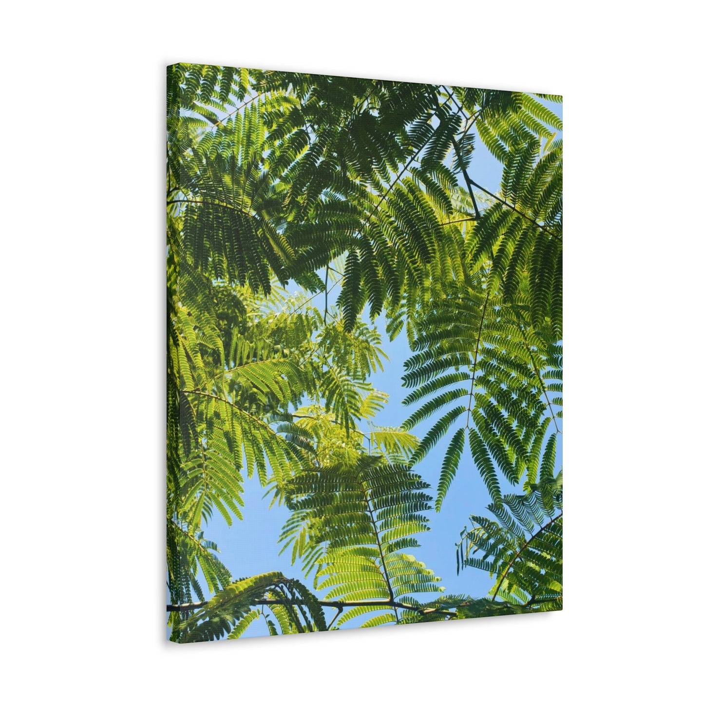 Canvas Gallery Wrap - Silk Canopy #3