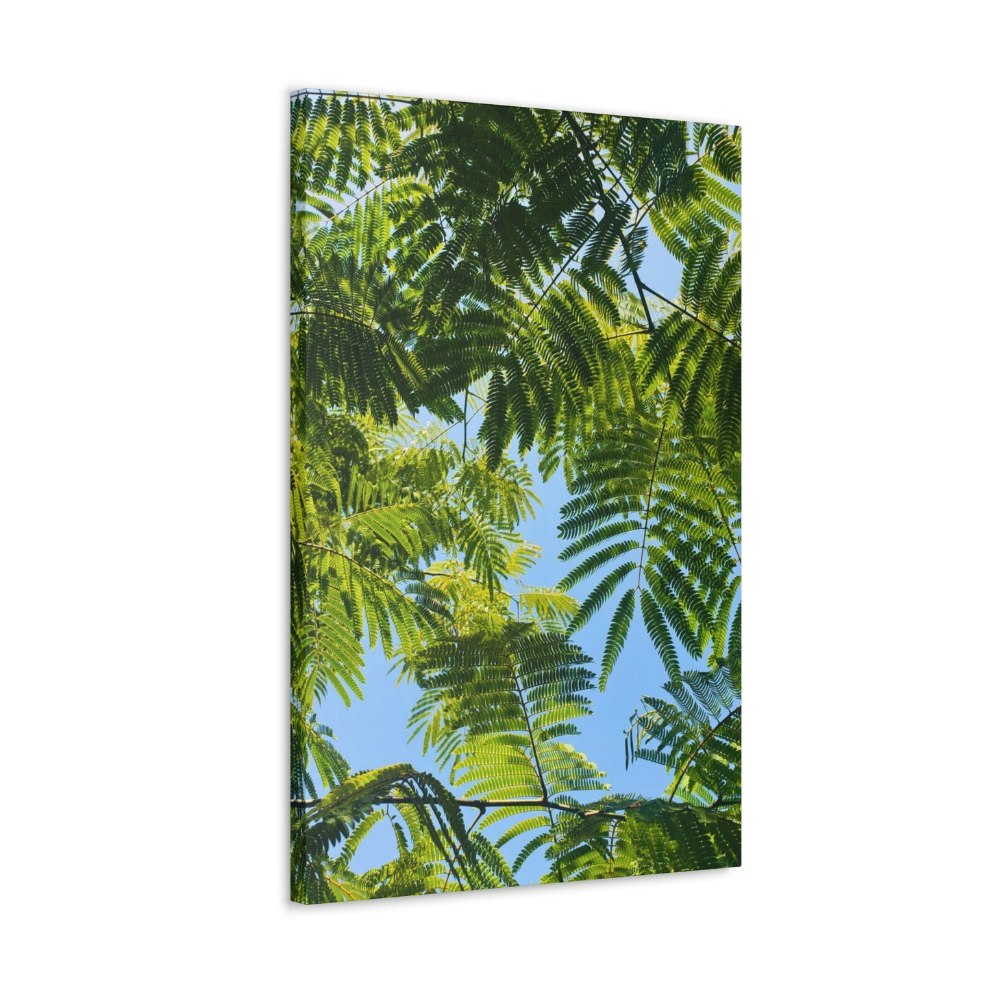 Canvas Gallery Wrap - Silk Canopy #3