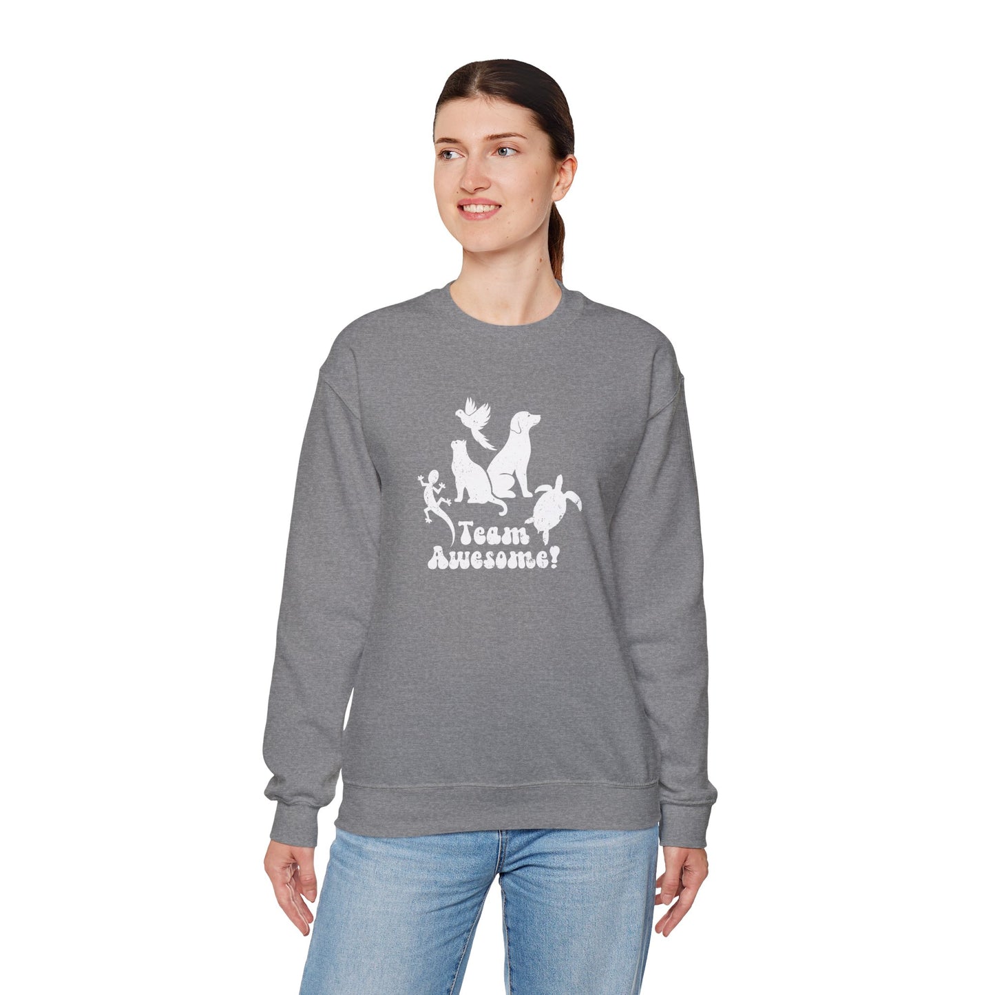 Unisex Animal Lover Lizard Cat Bird Dog Turtle Team Awesome Sweatshirt