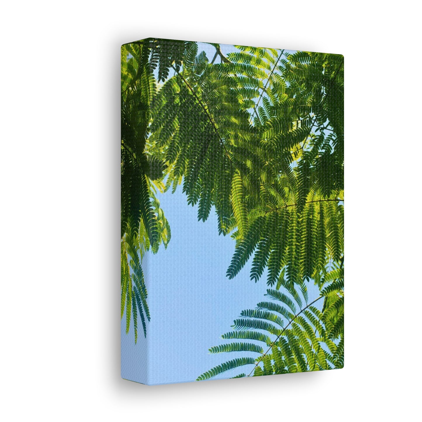 Canvas Gallery Wrap - Silk Canopy #4