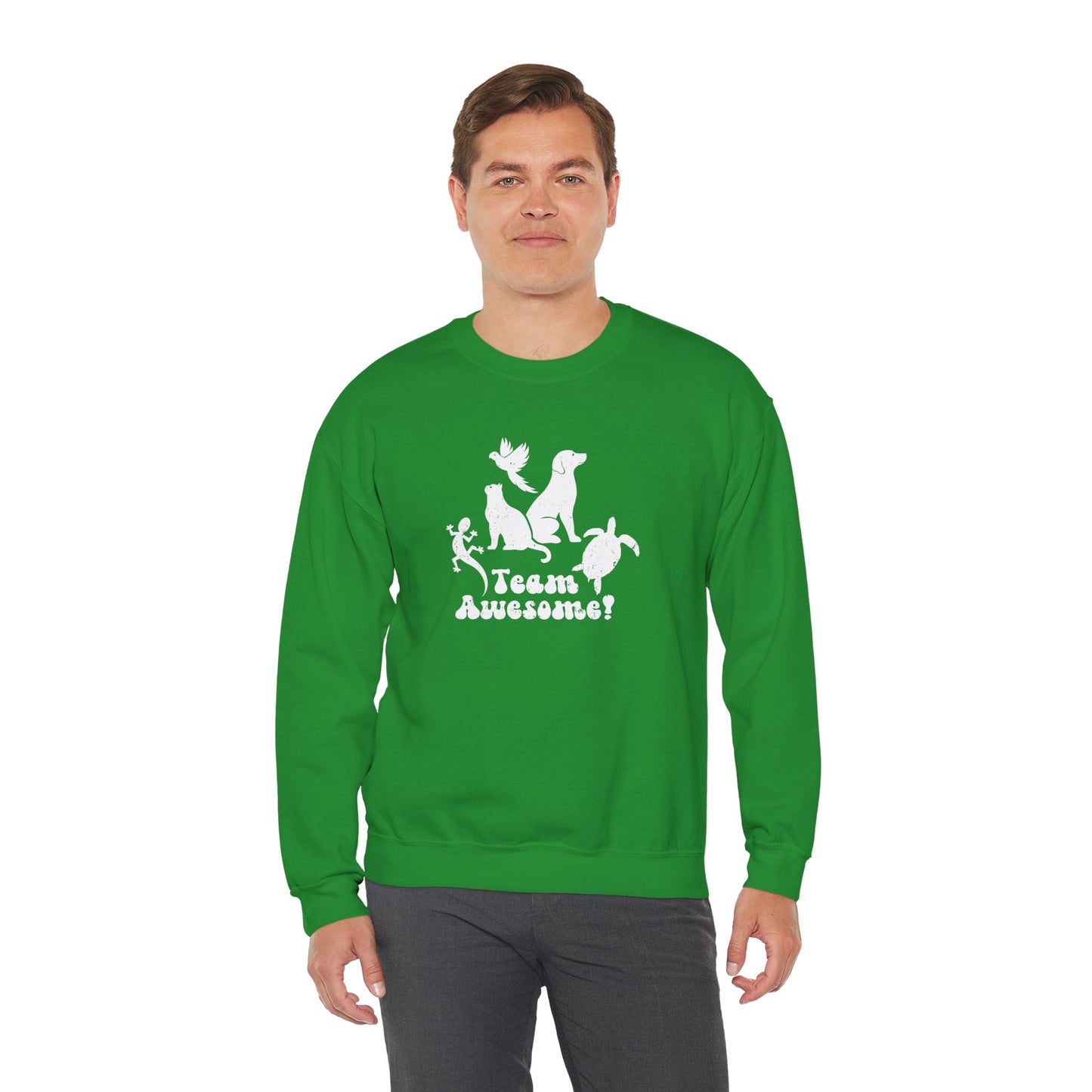 Unisex Animal Lover Lizard Cat Bird Dog Turtle Team Awesome Sweatshirt
