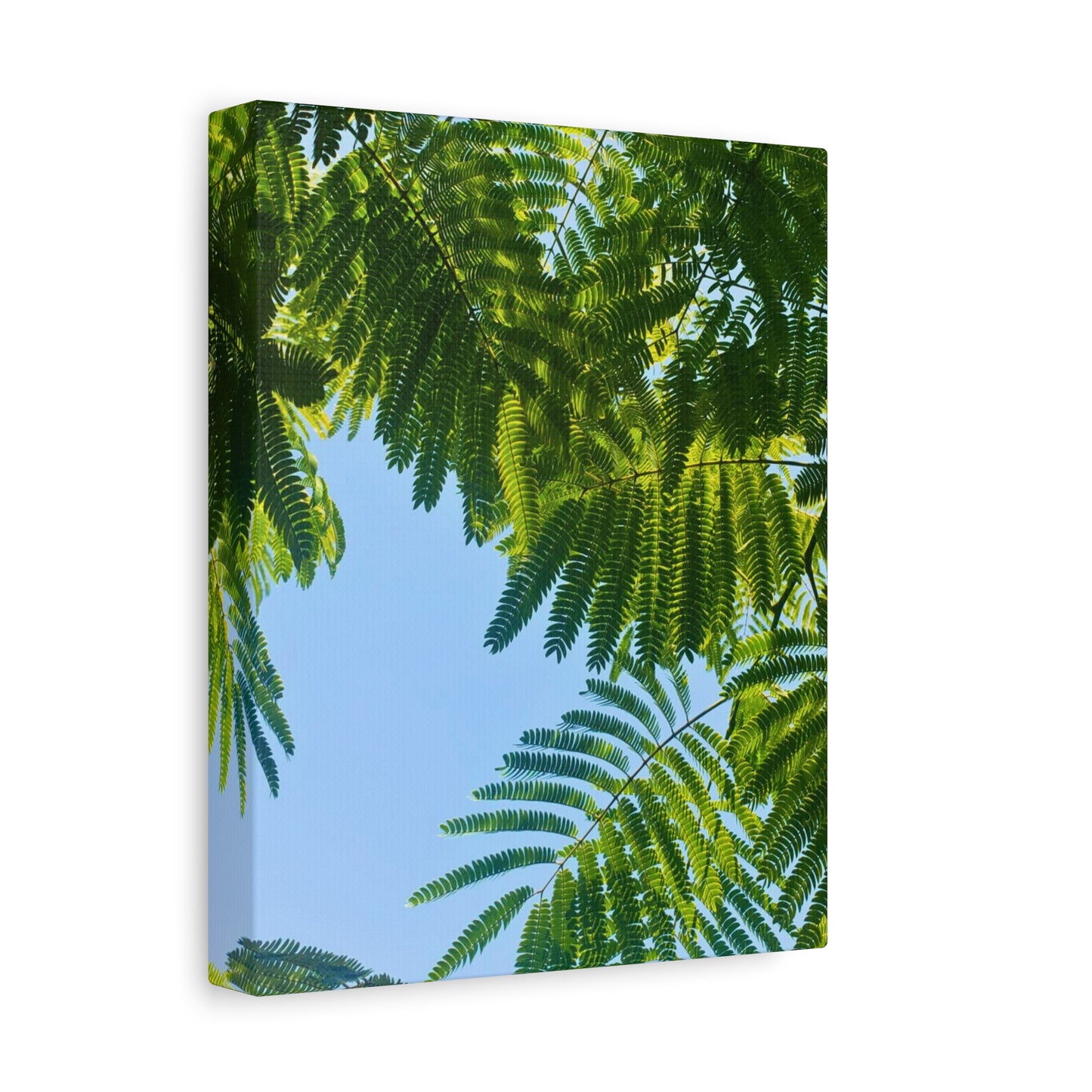 Canvas Gallery Wrap - Silk Canopy #4