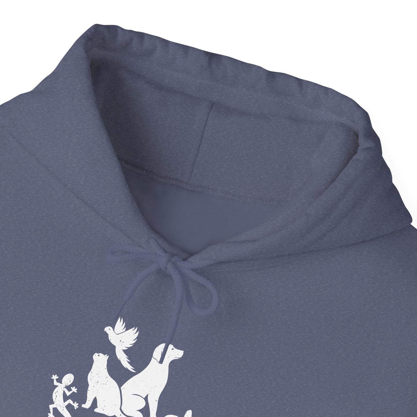 Unisex Animal Lover Lizard Cat Bird Dog Turtle Team Awesome Hooded Sweatshirt