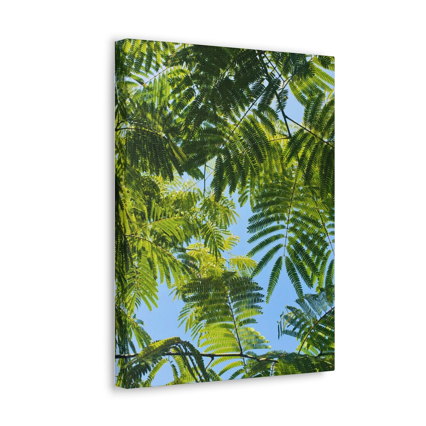 Canvas Gallery Wrap - Silk Canopy #3