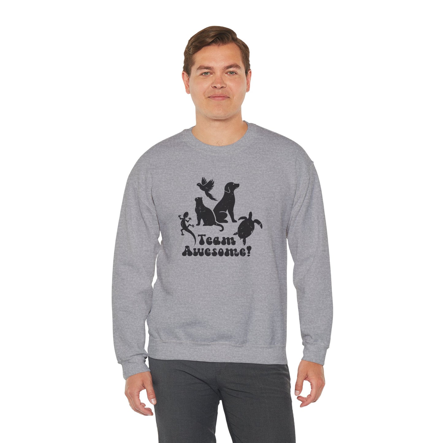 Unisex Animal Lover Lizard Cat Bird Dog Turtle Team Awesome Sweatshirt