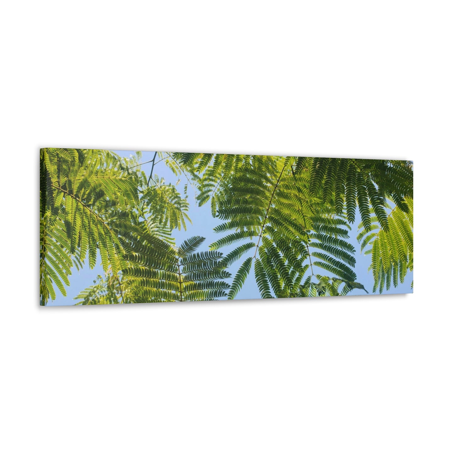 Silk Canopy #1 - Canvas Gallery Wrap