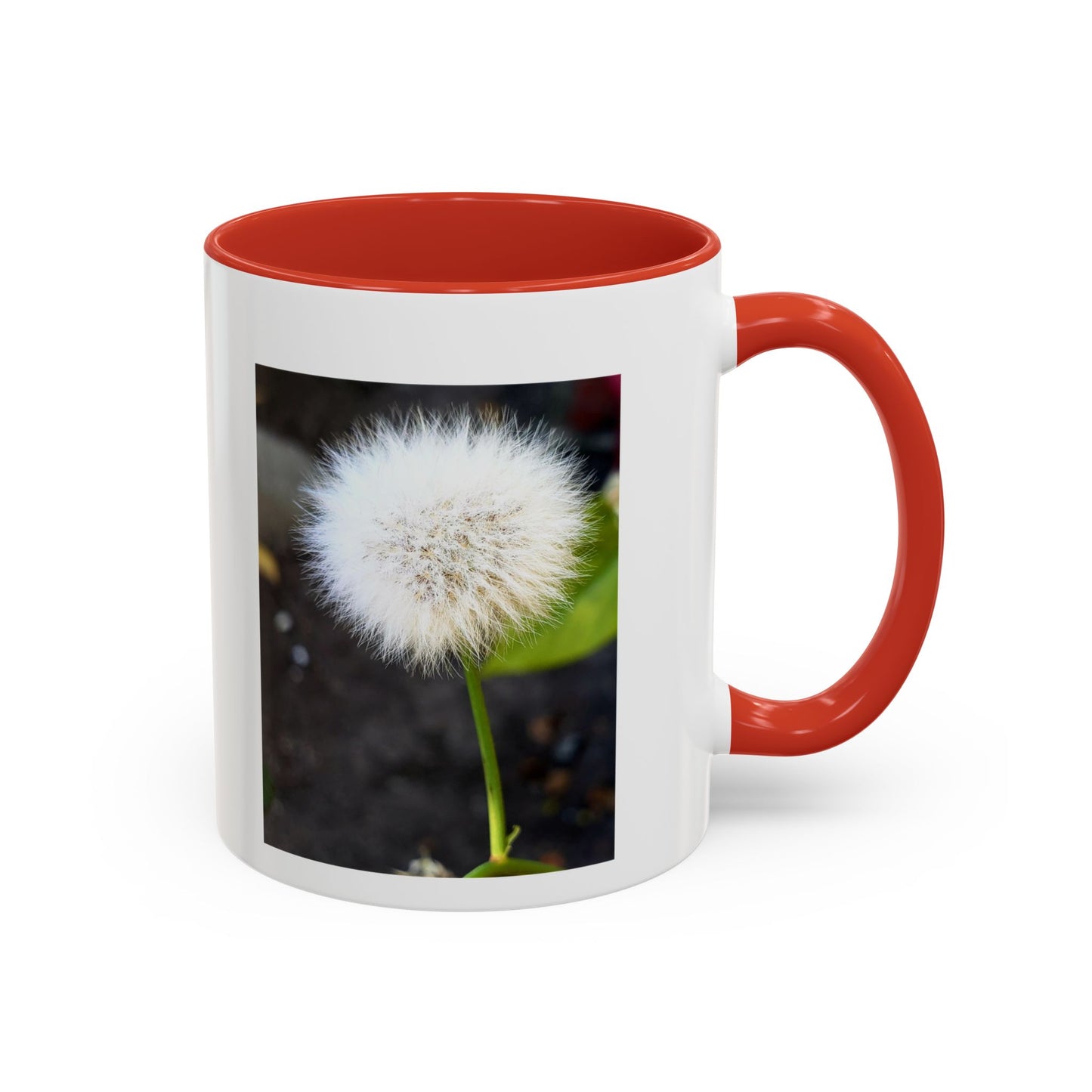 11oz. Garden Themed Dandelion Two Tone Coffee Mug