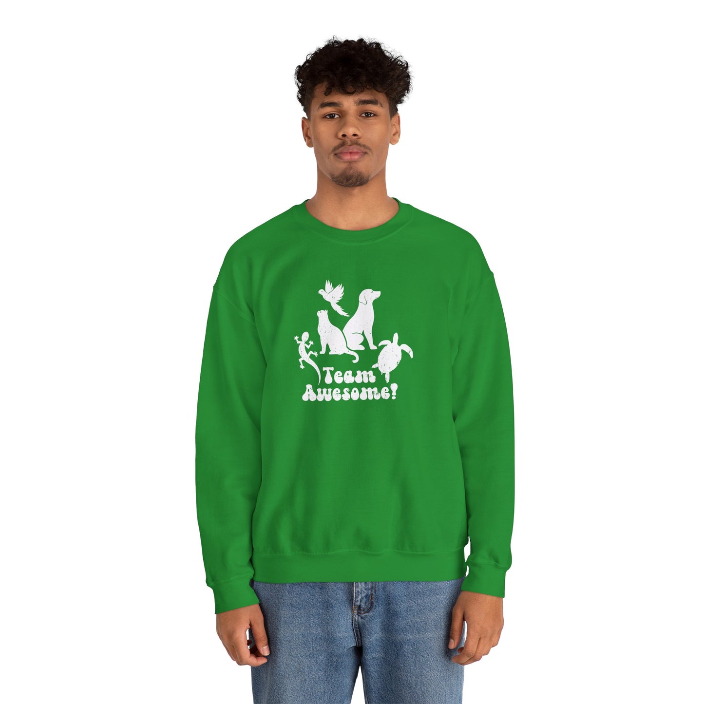 Unisex Animal Lover Lizard Cat Bird Dog Turtle Team Awesome Sweatshirt