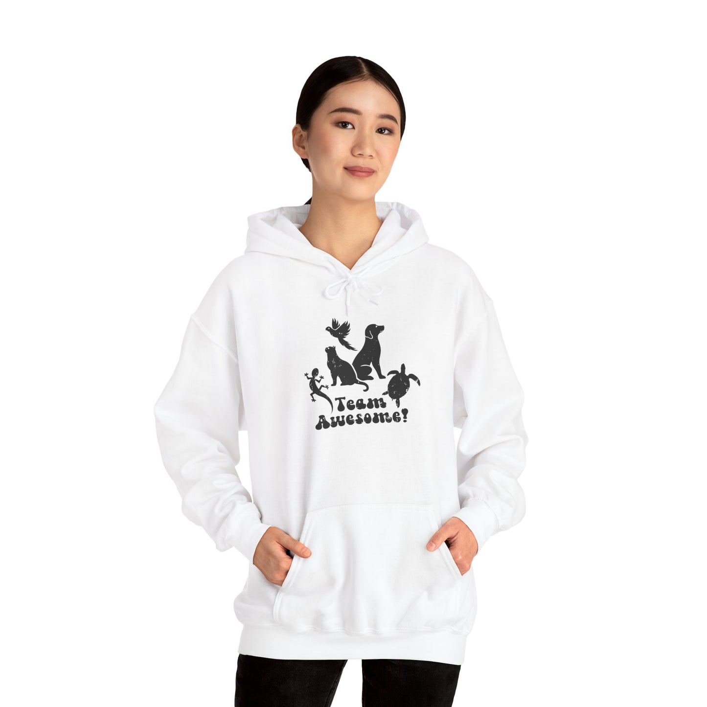 Unisex Animal Lover Lizard Cat Bird Dog Turtle Team Awesome Hooded Sweatshirt
