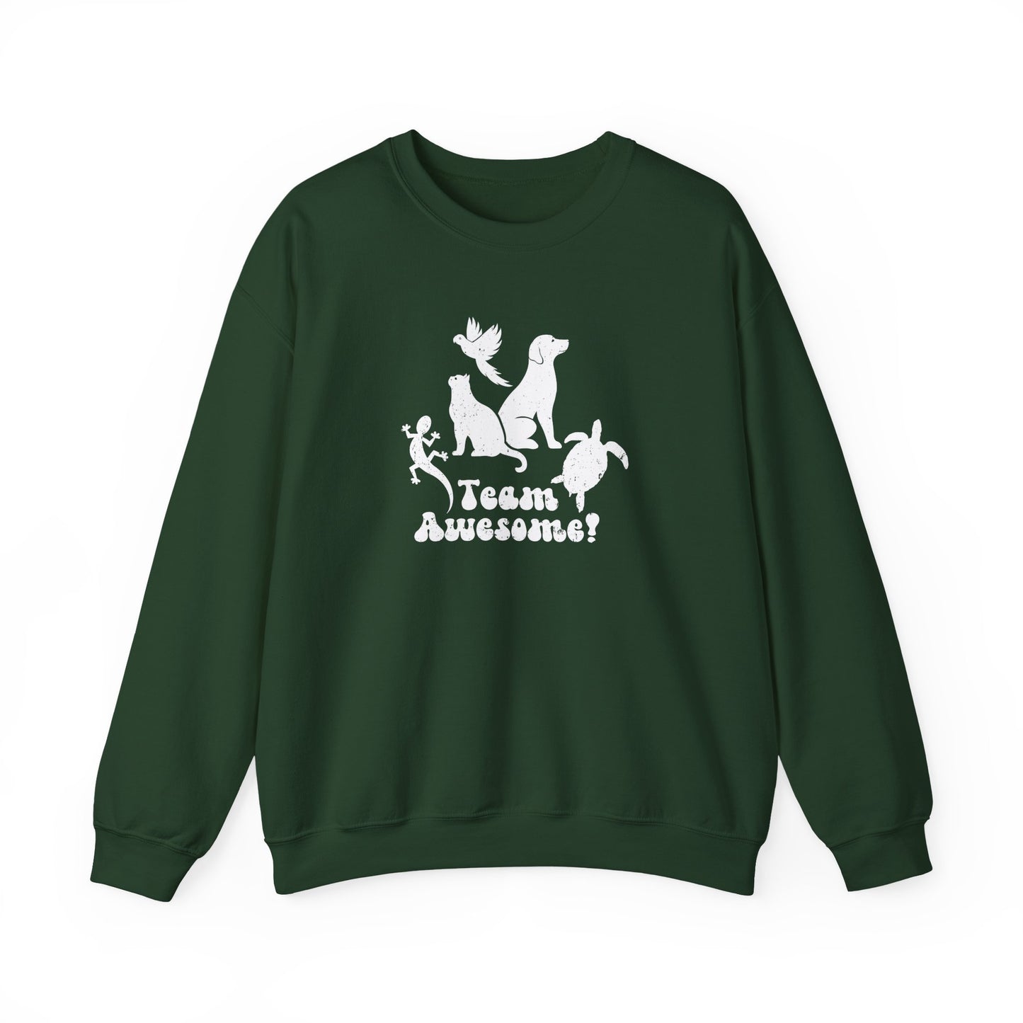 Unisex Animal Lover Lizard Cat Bird Dog Turtle Team Awesome Sweatshirt